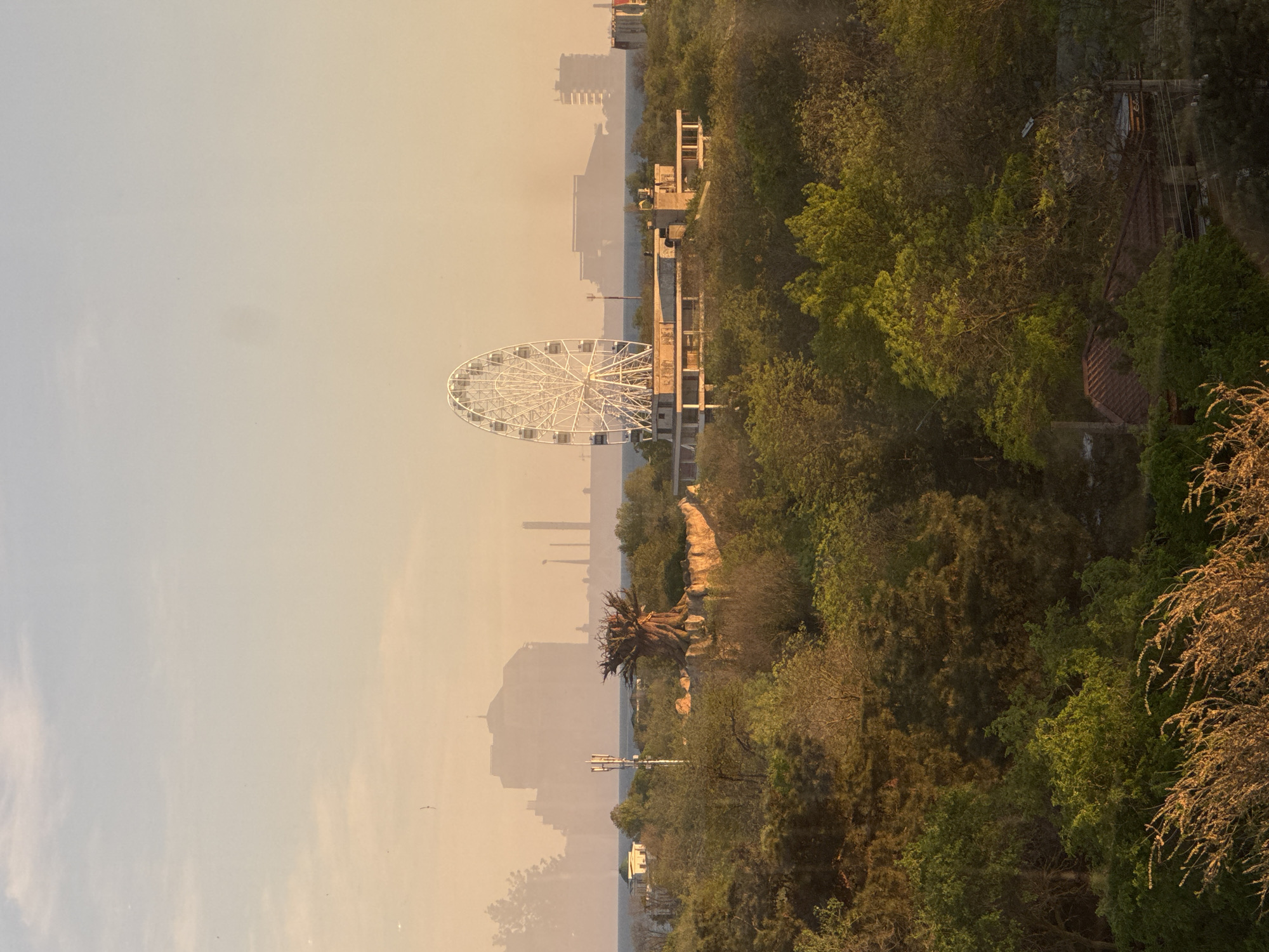 The image shows a ferris wheel in the city of Yevpatoriya, Ukraine. The ferris wheel is white and located near the coast. There is dense green vegetation in the foreground, with some building structures and a dead tree visible. In the background, indistinct buildings appear through a haze. The sky is pale with a gradient towards yellow or orange, indicating sunrise or sunset. A power line and some other utility poles are also visible.