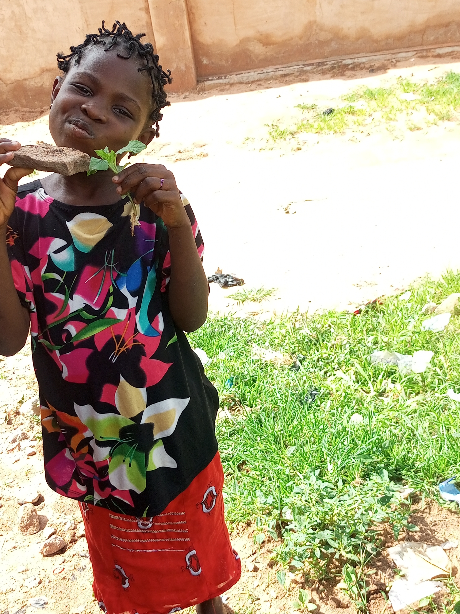 A young Black girl with braided hair is standing outdoors, holding a piece of dirt and a sprig of green leaves. She is wearing a colorful black t-shirt with a floral pattern and a red skirt. The background shows a dirt path, green grass, and a light-colored wall. The scene appears to be in a rural or semi-urban area.