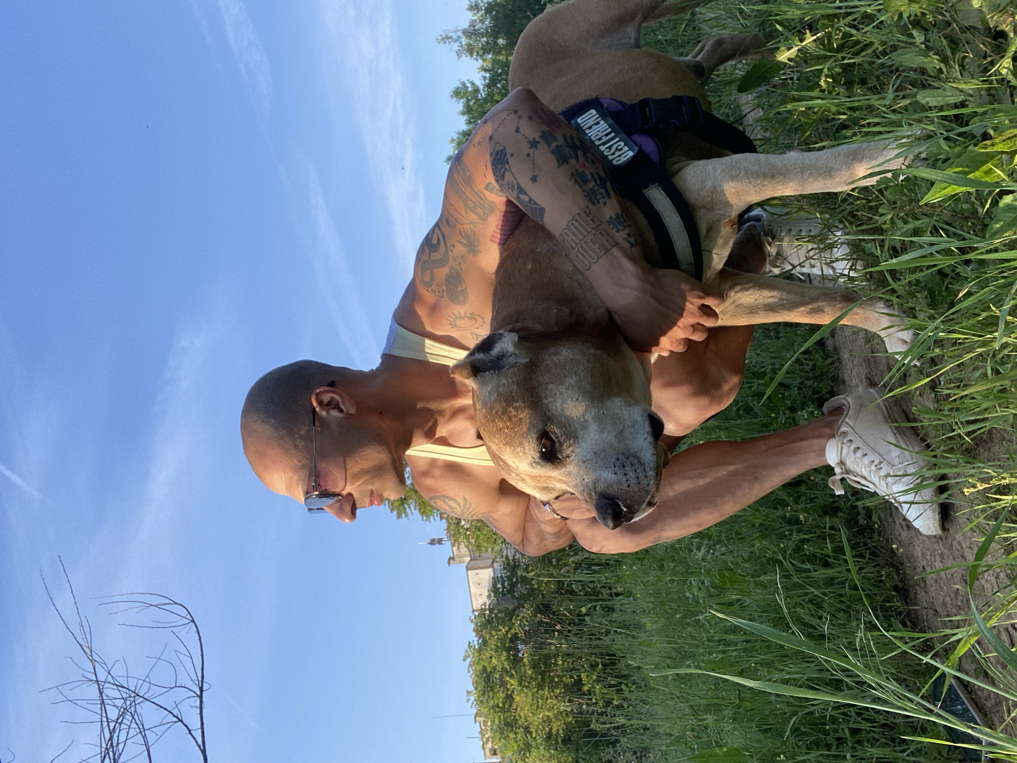 A fair-skinned, bald male with numerous arm tattoos is tightly embracing a tan-colored dog outdoors, likely in a park. The dog wears a dark harness with "BEST FRIEND" printed on it. The man is wearing sunglasses and a light-colored tank top. The location appears to be outdoors with grass, possibly a park or grassy area. There are trees and what looks like a building in the background. The sky is blue with some scattered clouds. The man is wearing white athletic shoes. Given the specification of Pleven, Bulgaria, the location may be there, but it's not definitively discernible from the image alone.