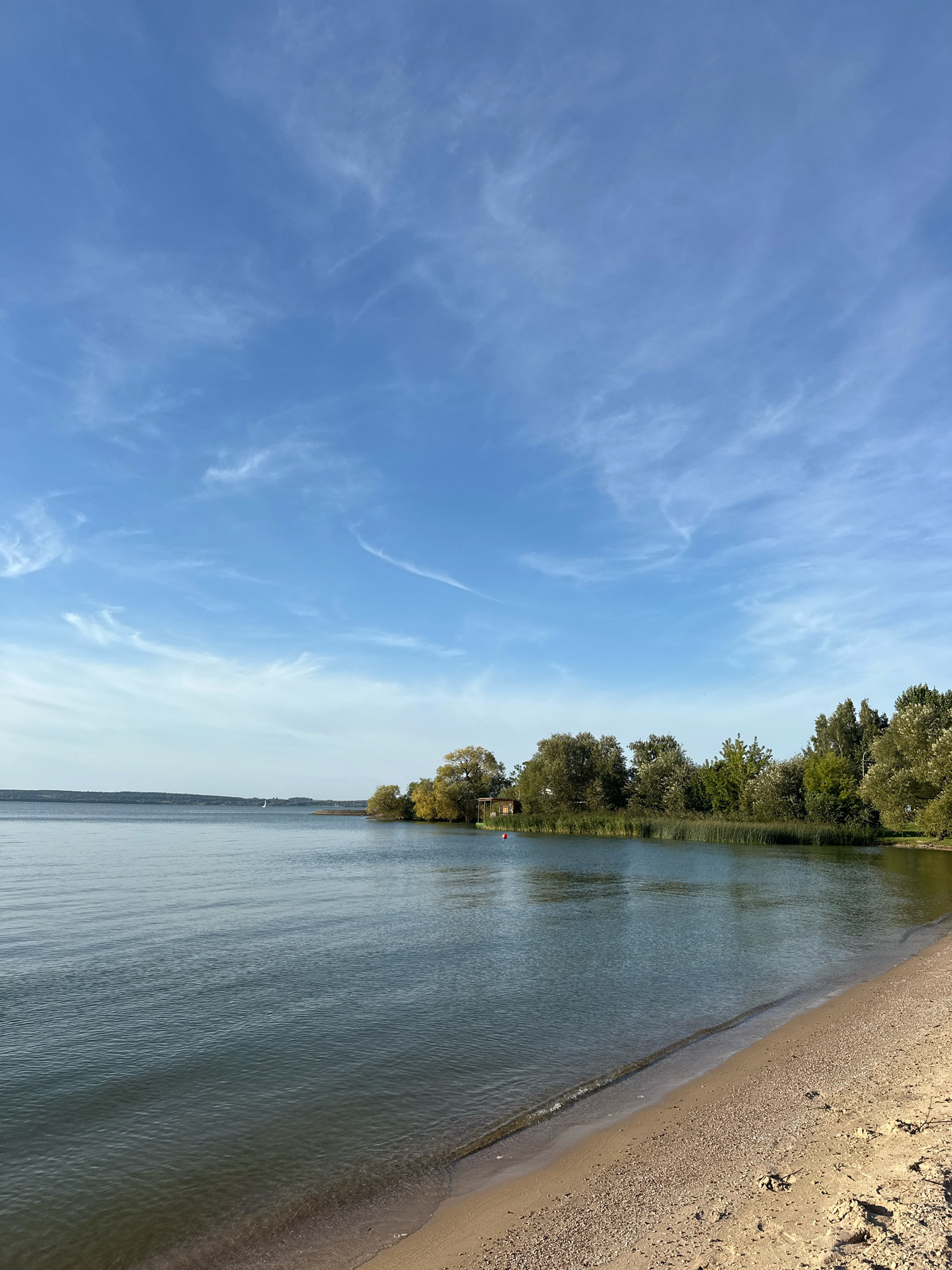 An eye-level, long shot captures a serene lake and beach scene under a bright blue sky with wispy white clouds. The foreground is dominated by a sandy beach with scattered pebbles and what appear to be animal tracks. The clear, calm water of the lake gently laps at the shore. In the mid-ground, a line of lush green trees with some autumnal yellow foliage forms the shoreline. A small, rustic wooden building is nestled amongst the trees on the left side of the frame, near a small orange buoy. In the distance, a thin strip of land with more trees is visible across the lake. A single white sailboat can be seen on the water to the left of the distant landmass. The overall impression is one of peaceful natural beauty on a clear day. The location is identified as Ждановіцкі сельскі Савет, Belarus.