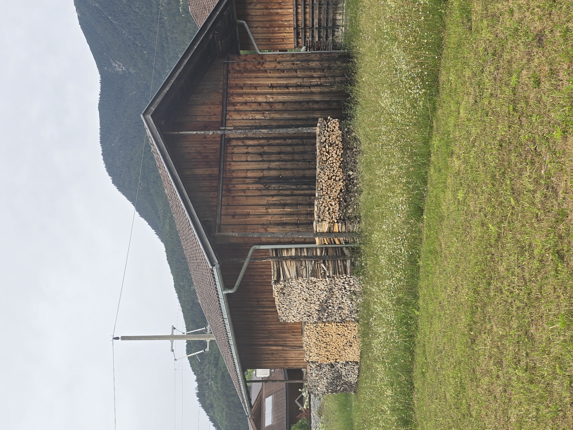 This static, wide-angle outdoor photograph captures a rural or semi-rural scene, likely in an Alpine region such as Garmisch-Partenkirchen, Germany, under an overcast sky during daytime.
The central subject is a long, low wooden building, possibly a barn or large shed, with a dark brown, weathered facade made of horizontal planks. A dark, tiled roof with a gutter system is visible. Against the side of this building, numerous substantial stacks of neatly cut firewood are piled, varying in height and wood tones from light to dark brown.
To the immediate right of the wooden building, the foreground is dominated by a verdant green grassy field, dotted with small white wildflowers.
In the left midground, a utility pole with insulators and wires extends towards the light, uniformly grey sky. Partially visible further to the left and slightly behind the main wooden structure is a section of another building, showing part of its roof and a window.
The background is characterized by a prominent, dark green, tree-covered mountain range that rises steeply against the overcast sky. No people are visible, and no discernible text appears in the image. The scene conveys a sense of serene, functional rural life.
