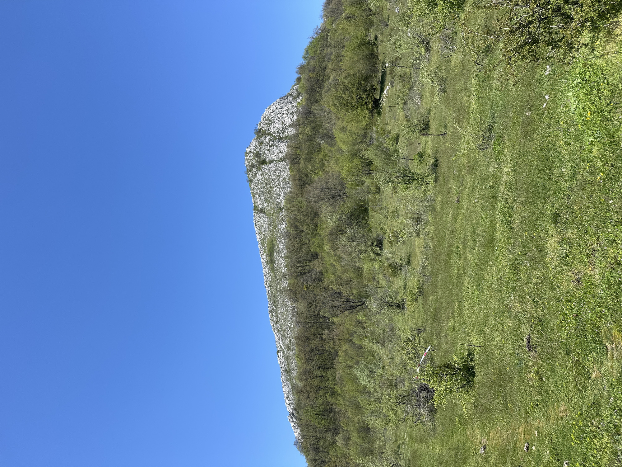 The image captures a mountainous landscape in Bilka, Bulgaria, under a clear blue sky. A rocky cliff face, interspersed with trees and vegetation, ascends from right to left. To the right of the cliff, a green meadow extends, dotted with scattered bushes and trees.
