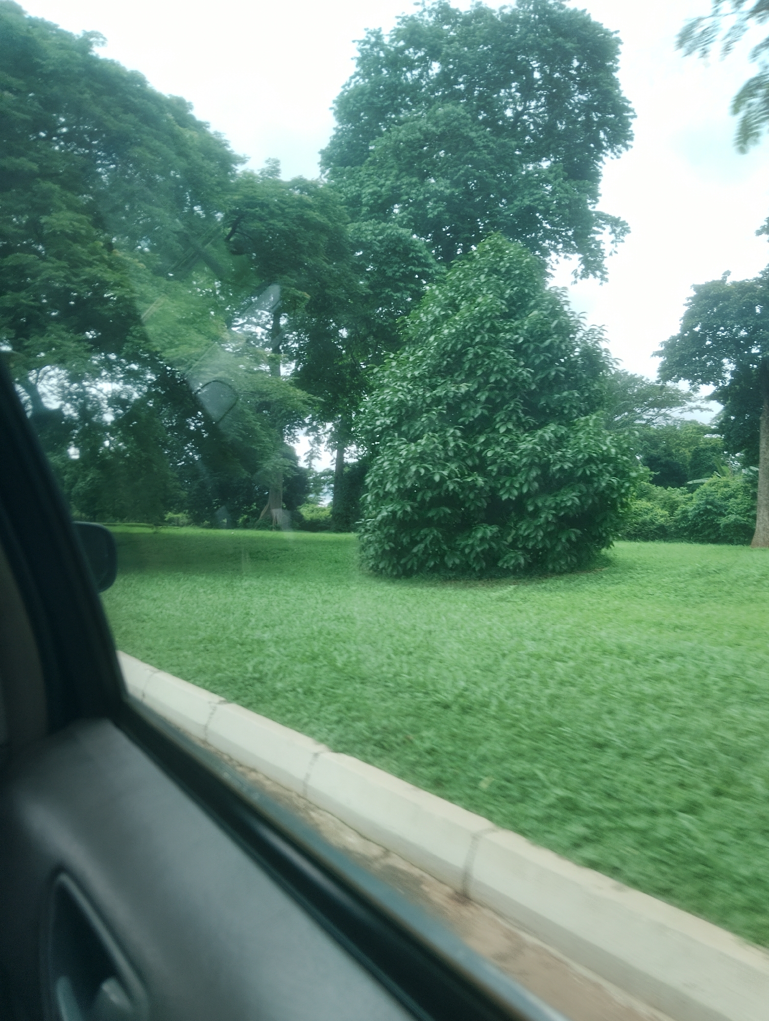 The image depicts a view from inside a vehicle, looking out at a lush green landscape. The foreground shows the interior of a car, with the door panel and a side mirror visible. Beyond the window, a well-maintained lawn stretches out, bordered by a concrete curb. Several large trees with dense foliage dominate the middle ground and background. One particularly prominent tree in the mid-right is rounded and bushy, with dark green leaves. Other trees are taller and more spread out, creating a canopy that suggests a park or a large garden. The sky appears overcast, indicating a cloudy day. The scene evokes a sense of tranquility and the natural beauty of a well-kept outdoor space. There is no visible text in the image. The setting suggests a daytime scene in a location with abundant greenery, consistent with the provided location context of Onibudo, Nigeria.