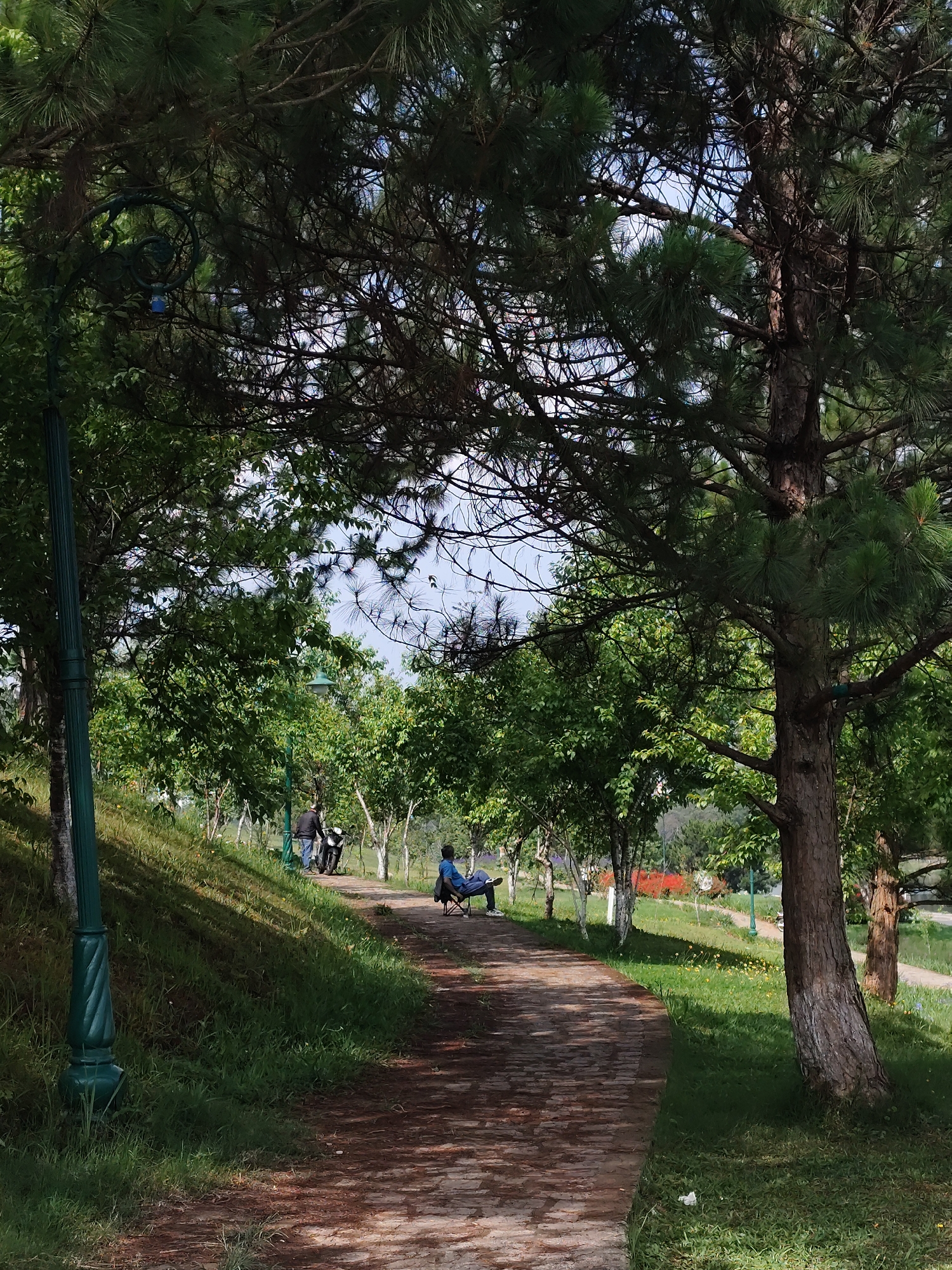 The image portrays a tranquil outdoor scene within a lush park or green space in Da Lat, Vietnam, bathed in bright daylight. A winding path, made of dirt and possibly bricks, stretches through the frame, receiving dappled sunlight that filters through the overhead canopy. The surroundings are abundant with greenery, dominated by tall pine trees with their distinct long needles, one prominent trunk on the right, and various other leafy trees and bushes. Grassy slopes line the path, some adorned with small yellow flowers.
Two individuals are visible on the path. In the mid-ground on the left, a person in a dark jacket and trousers stands next to a black scooter or motorcycle, appearing to be taking a break. Further down the path on the right, another person sits leisurely on a blue portable chair, dressed in a blue shirt and dark pants, seemingly relaxed and enjoying the peaceful atmosphere.
A decorative, dark green lamppost with an ornate, spiral design stands in the left foreground, while a simpler green lamppost is visible further along the path. The distinct shadows cast by the trees indicate a clear, sunny day, likely during mid-morning or afternoon. The overall ambiance is one of calm and leisure, suggesting a pleasant day spent outdoors. A small piece of white litter is noticeable on the grass in the lower right corner. There is no visible text in the image.