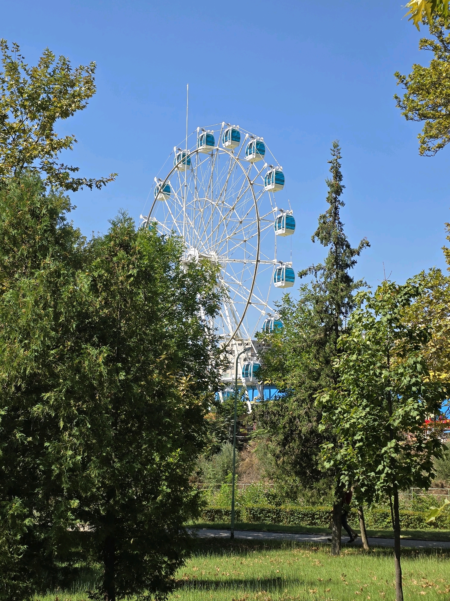 A Ferris wheel with white spokes and blue gondolas stands against a clear blue sky. The wheel is partially obscured by lush green trees in the foreground. A path runs through a grassy area in front of the trees. The Ferris wheel appears to be located in an amusement park or fairground. The city of Polenitsa, Bulgaria, is mentioned as the location, suggesting this is likely a local attraction within that city. The scene is a bright, sunny day, with the sunlight casting shadows on the grass. No people are clearly visible, though a person can be seen walking on the path behind some trees.