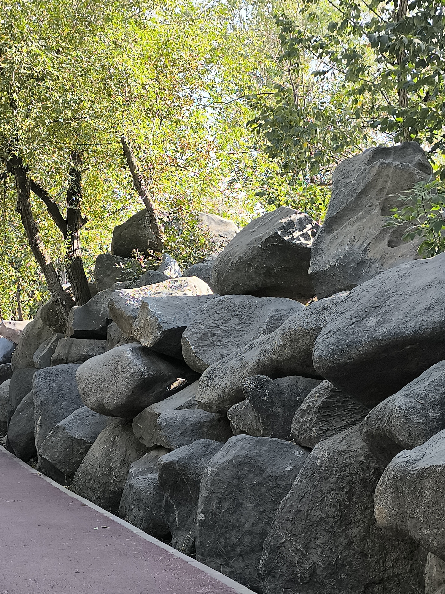 The image depicts a large, informally constructed rock wall made of irregular grey boulders. The wall is situated outdoors, with lush green trees and foliage visible behind and above it. A paved surface, appearing to be a walkway or path with a reddish-brown hue and a white border, runs along the bottom left of the image. The lighting suggests it is daytime, with sunlight filtering through the leaves and casting shadows on the rocks. There are no people or discernible actions captured in the scene. The overall environment appears to be a park or naturalistic landscaping within an urban setting. The location is identified as the city of Ürümqi, China.