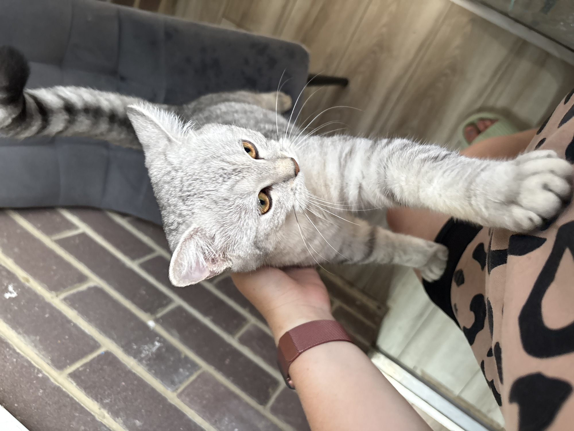 The image shows a domestic cat being held by a person. The cat is a silver tabby with distinctive stripes on its tail and body, and amber-colored eyes. The cat's left paw is extended forward, touching the patterned fabric of the person's clothing. The person's arm is visible, with a reddish-brown smartwatch on their wrist. The background features a grey upholstered piece of furniture on the left, a wooden floor, and a brick-like pattern on the floor in the lower left quadrant. Hints of footwear, possibly slippers, are visible in the background to the right. The lighting suggests it might be daytime. The overall scene appears to be indoors, likely in a home. There is no visible text in the image.