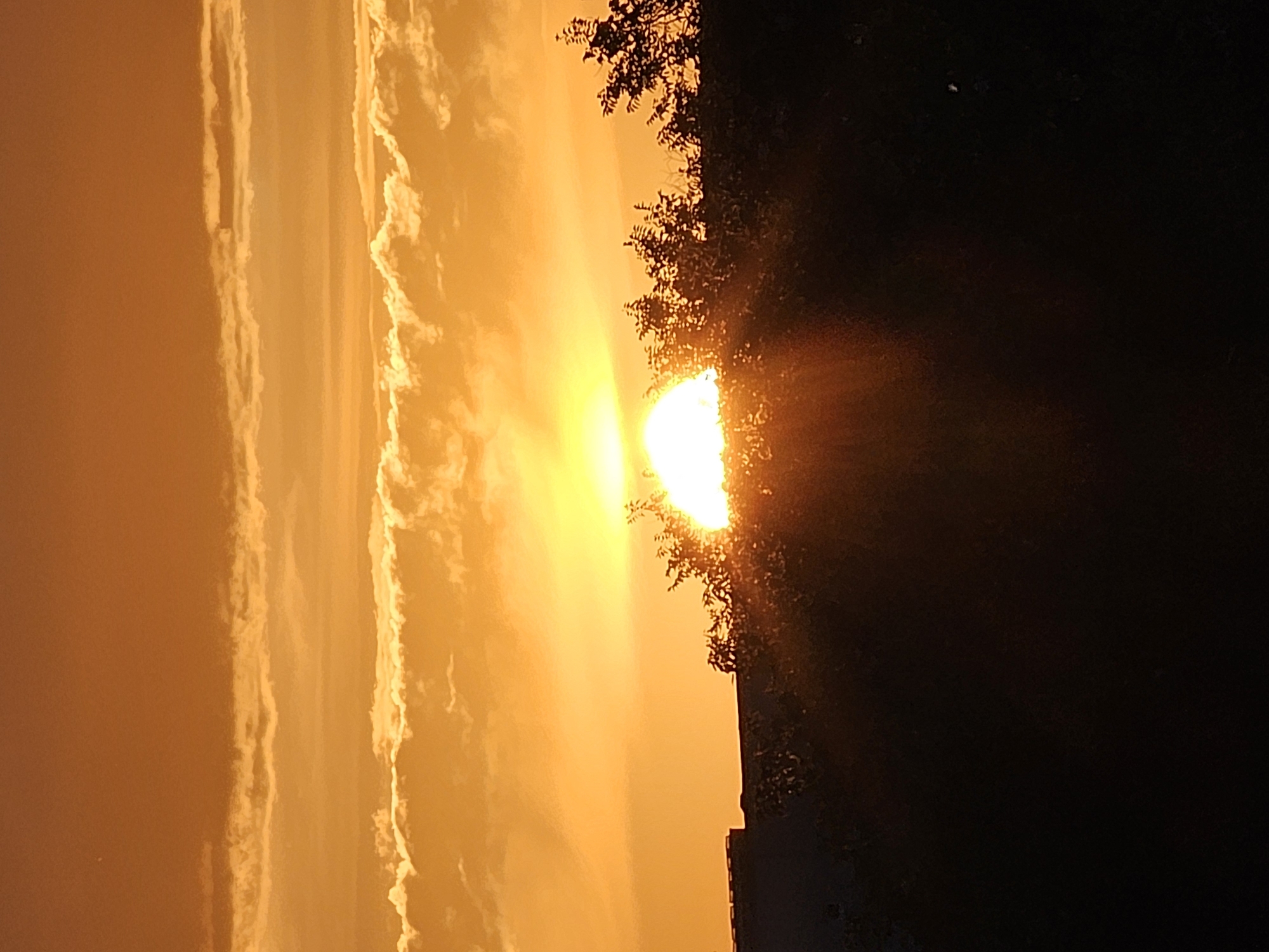 The image depicts a sunset over the city of Khimki, Russia. The sun, partially obscured by clouds, casts a warm, golden glow across the sky. Silhouetted against the bright sky are the tops of trees and a building, suggesting a suburban or natural landscape within the city. The clouds are illuminated by the setting sun, creating a layered effect in the sky. The overall scene is tranquil and serene, capturing the beauty of a sunset.