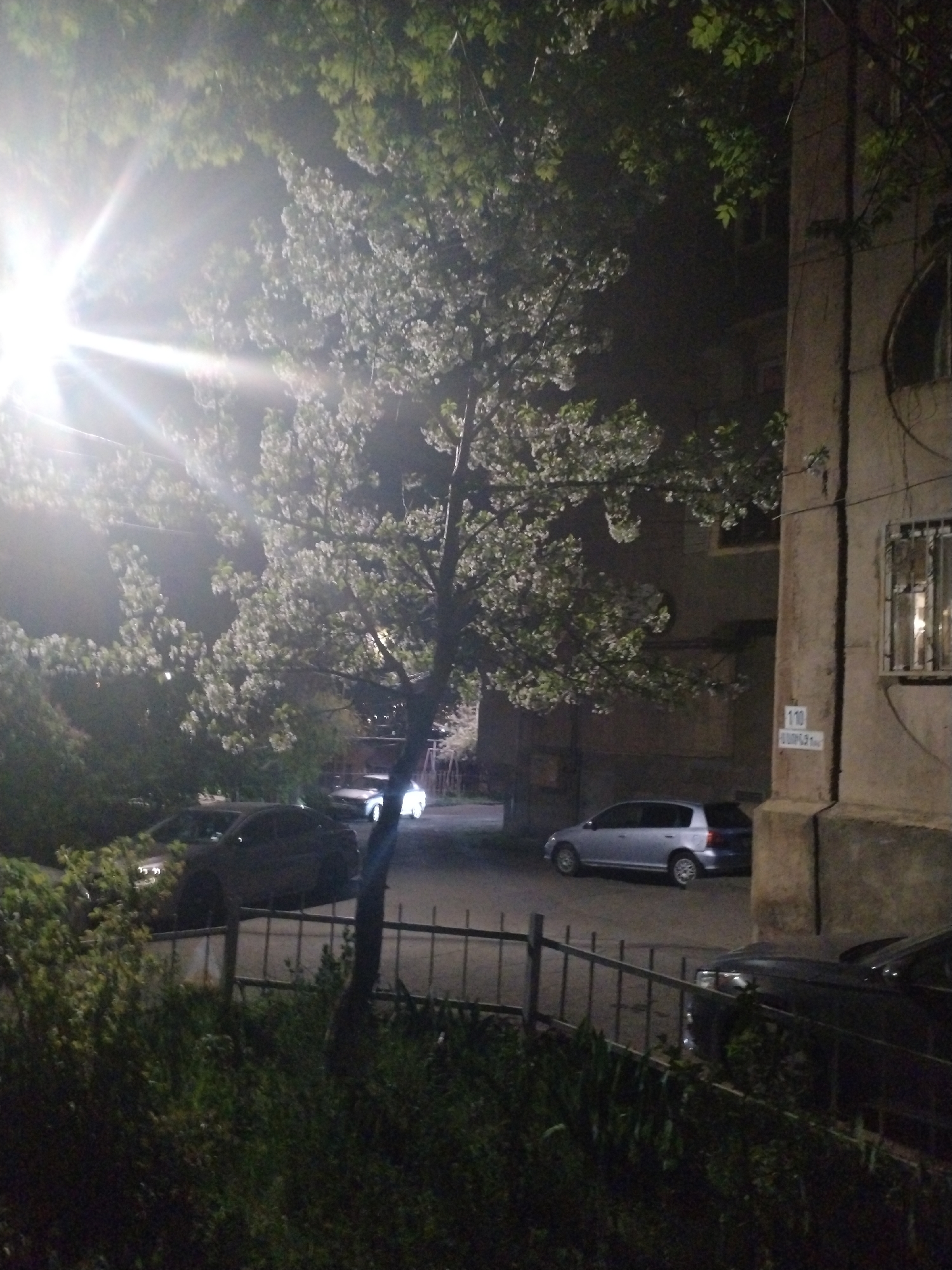The image captures a nighttime scene in what appears to be a residential area. A prominent tree with light-colored blossoms or leaves dominates the left side and center of the frame, brightly illuminated by a powerful street lamp in the upper left corner, which casts a significant flare.
To the right, a multi-story building with a distinctive architectural column stands. It has several windows, one of which is covered by a metal grate. In the foreground, a dark metal fence runs horizontally, separating the viewer from a patch of lush green bushes and grass.
Several cars are parked in the scene: a dark-colored sedan or SUV is partially visible behind the fence on the left, and a silver hatchback (possibly a Toyota Yaris) is parked closer to the building on the right. Another light-colored car can be seen further back, partially obscured by the tree.
The time of day is clearly night, with the sky appearing dark and artificial light sources being the primary illumination. There is no visible activity or people.
A notable detail is a sign affixed to the building's column, which clearly displays the number "110". Below this number, Armenian script is visible, reading "ԾԱՂԿԱԾՈՐԻ" (Tzaghkatzori), confirming the location context as Yerevan, Armenia. The atmosphere is quiet and still, typical of a city street after dark.
