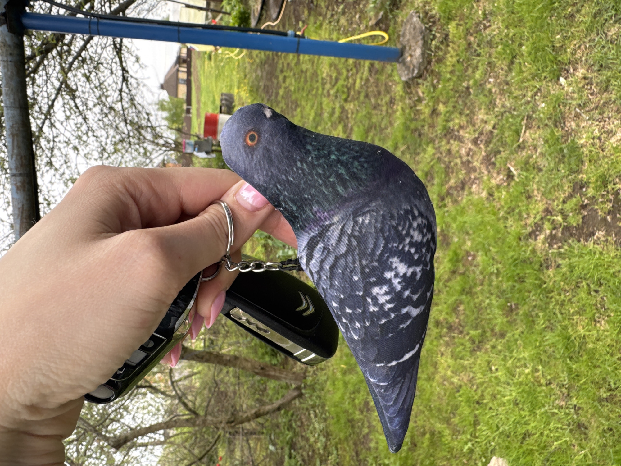 A person holds a car key with a pigeon-shaped keychain. The location appears to be Malinovo, Russia, as it is tagged. The background shows a grassy area with some trees and a building.