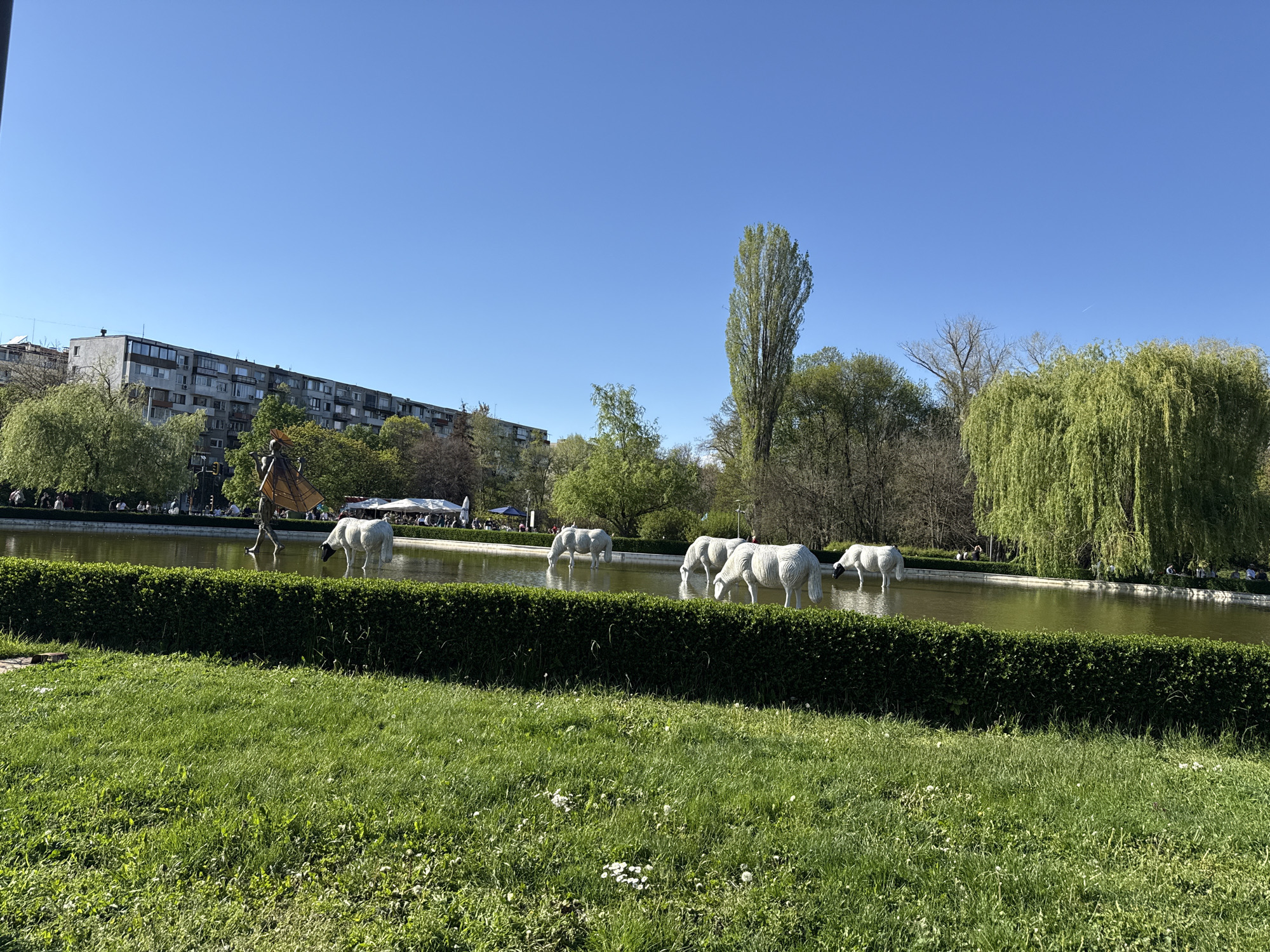 The image shows a park scene in Sofia, Bulgaria, likely the Doctor's Garden, featuring a pond with several white horse statues in the water. The horses appear to be sculpted with a textured, almost woven, surface. Lush green grass is prominent in the foreground, partially obscured by a trimmed hedge running parallel to the pond's edge.
Beyond the hedge is the pond itself, reflecting the clear blue sky. The horse statues are positioned at varying depths in the water. In the background, trees with varying green foliage provide a backdrop to the scene. A weeping willow is visible to the right.
On the left of the scene, a modern building is present. People are dispersed along the banks of the pond. A statue, partially obscured by trees, is visible near the building. A clear, sunny sky is above.