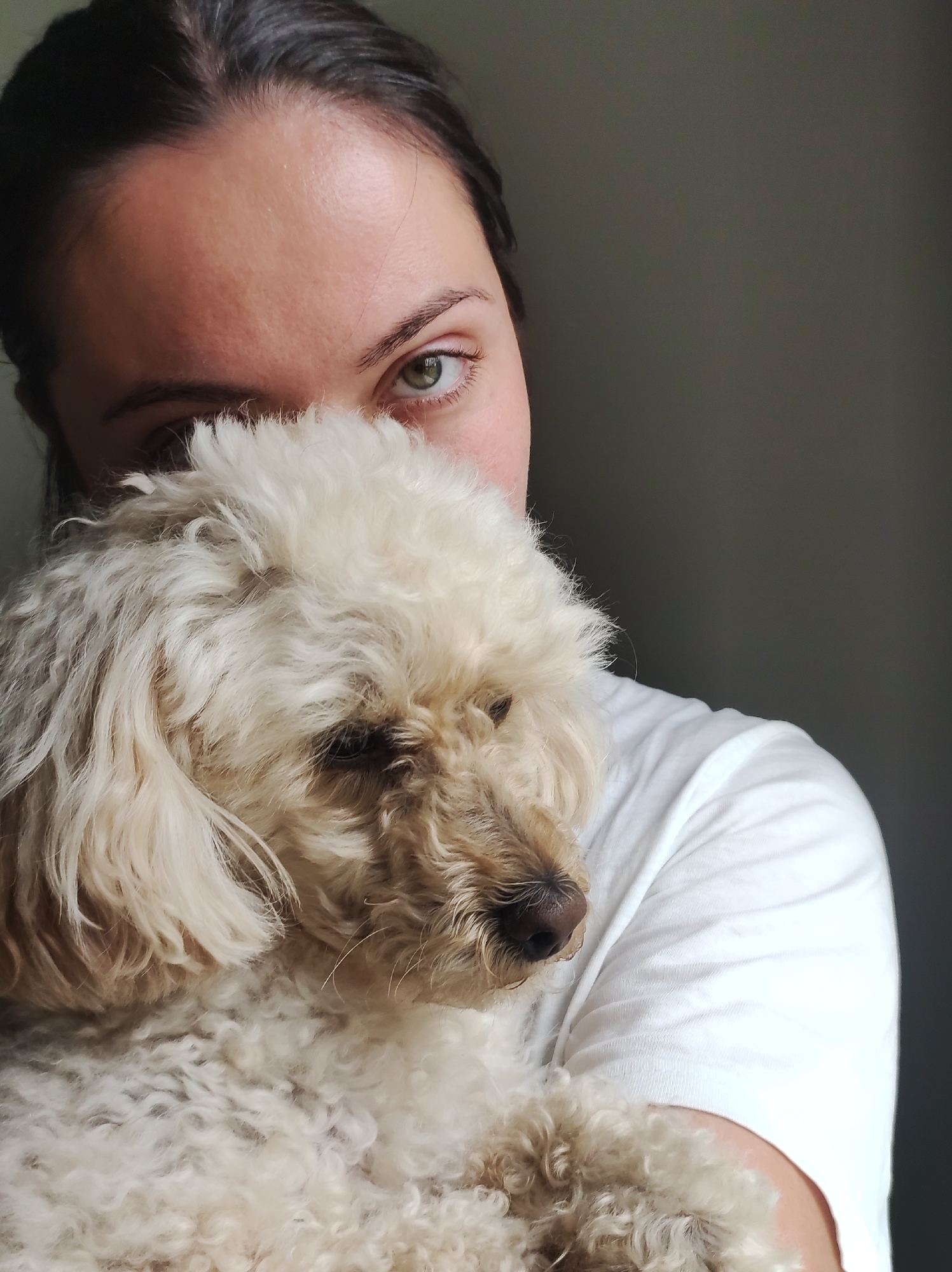 A woman with dark hair and green eyes is holding a light-colored poodle. She is wearing a white t-shirt and her face is partially obscured by the dog's fluffy fur. The dog is looking down and to the right, with its nose slightly wet. The background is a dark, neutral gray wall, suggesting an indoor setting. The lighting appears to be soft and natural, possibly from a window to the left of the frame, as indicated by the gentle shadows on the woman's face and the highlights on the dog's fur. The overall mood is intimate and affectionate, with the woman holding the dog close. There is no visible text in the image. The location context is stated as Fokino, Russia.