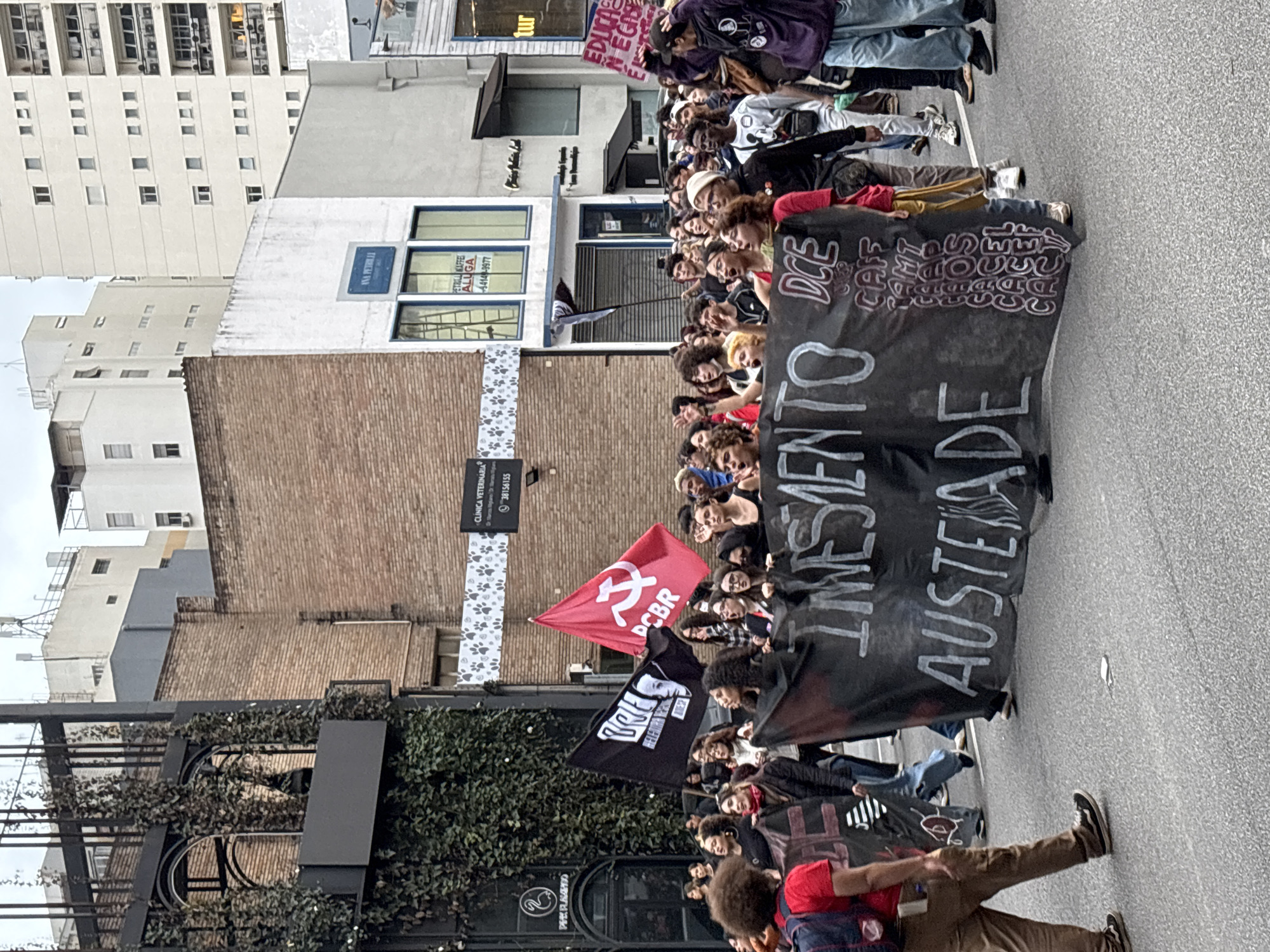 A demonstration in São Paulo, Brazil, features a crowd of people gathered in the street, holding banners and flags. Buildings line the background. A red flag with the hammer and sickle, labeled "PCBR," and a black flag with a portrait are visible. A large black banner displays the words "INESMENTO AUSTEIADE" (misspelled Portuguese for "investment austerity"). Signs on the buildings include "CLINICA VETERINARIA" with paw prints and "ANA PETRILLA ALUGA." The demonstration appears to be taking place on a city street with a building that includes a green wall. The sky is overcast.
