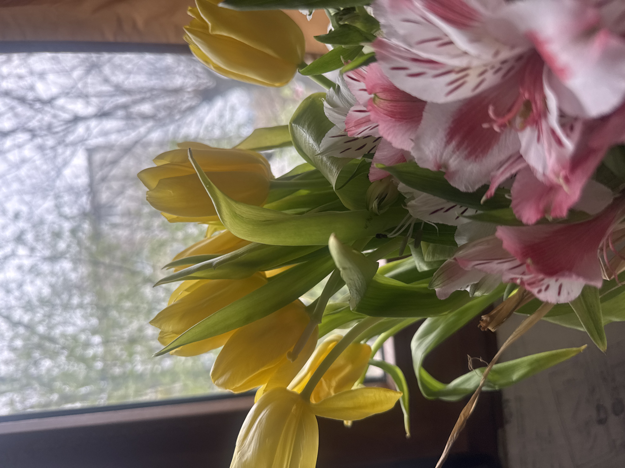 A close-up shot shows a bouquet of yellow tulips and pink and white alstroemeria flowers. The flowers are in front of a window, which is partly visible on the left side of the frame. The background through the window is blurry, suggesting an outdoor scene, potentially with trees. The image is taken indoors, possibly in a residential or office setting. There are no people visible in the frame. The photograph is rotated clockwise. The location is not discernible from the image.