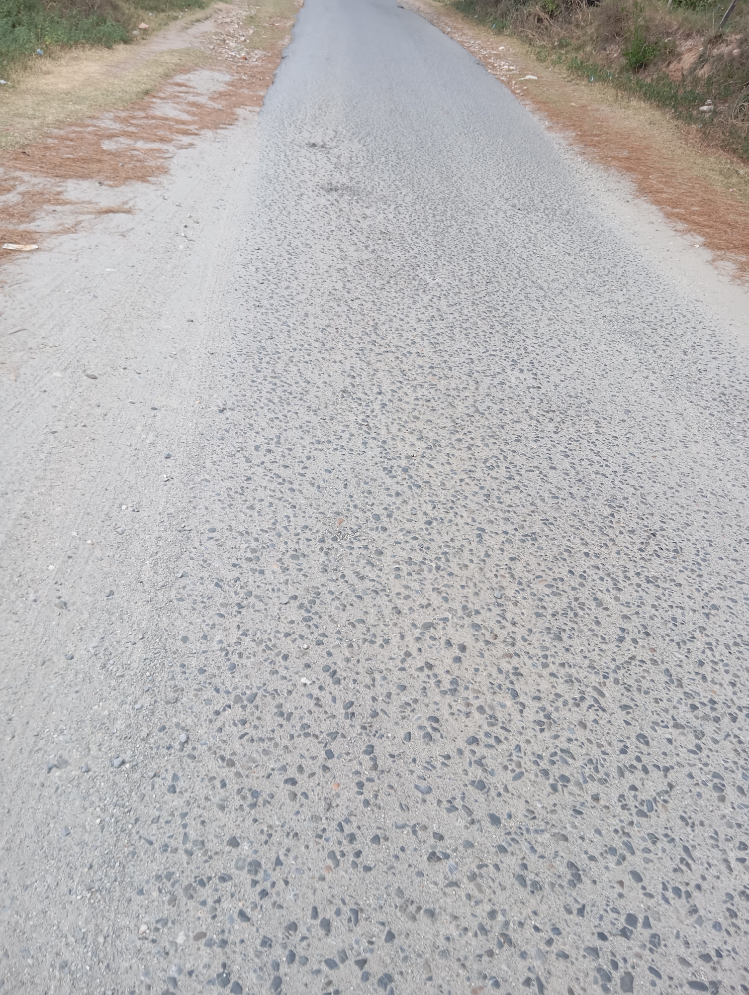 The image shows a close-up, slightly angled view of an asphalt road. The road surface is a light gray color and has a coarse texture due to the visible aggregate embedded within it. There are some areas where the asphalt appears slightly darker or lighter, suggesting variations in wear or material. The road stretches into the distance, narrowing as it recedes. On the left side of the road, a dirt and gravel shoulder is visible, with some dry grass and scattered brown debris, possibly pine needles. The right side of the road also has a shoulder with dry vegetation and some reddish-brown debris. The overall scene suggests a rural or undeveloped area. There are no people or vehicles present in the image.