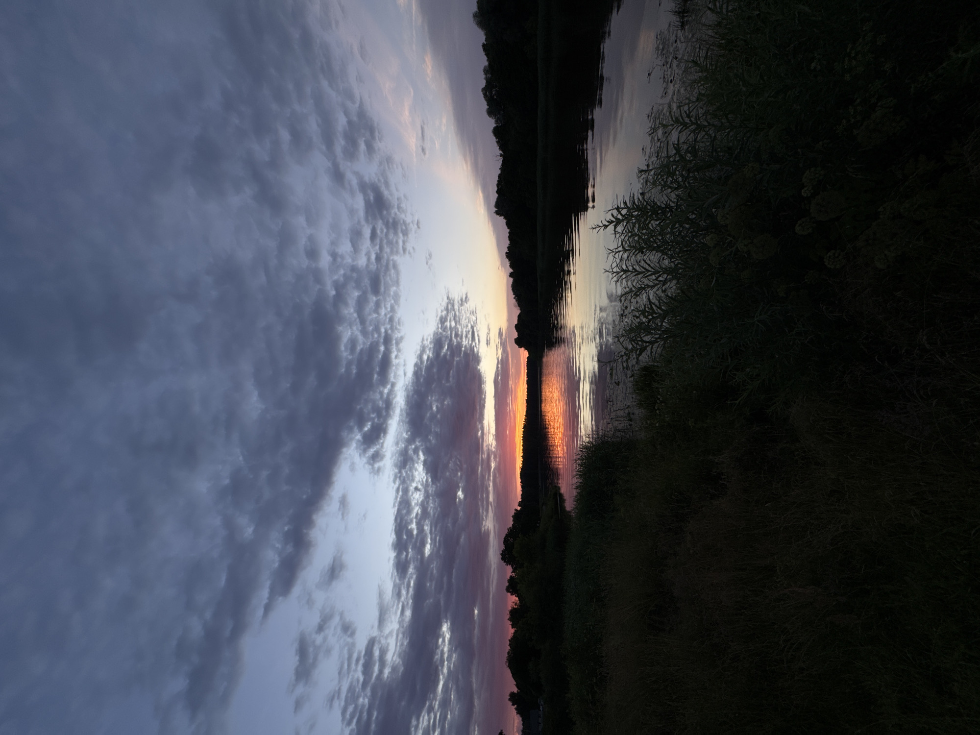 The photograph captures a twilight scene over a body of water, likely a river or lake, in Carnikava, Latvia. The sky is filled with dramatic, textured clouds in shades of grey and dark blue, interspersed with streaks of soft pink and orange near the horizon, indicative of a setting or rising sun. The water reflects the vibrant colors of the sky, creating a shimmering band of light across its surface. Silhouetted against the illuminated sky are dense lines of trees and vegetation along the opposite bank and the foreground, forming dark, indistinct shapes. The foreground consists of tall, dark grasses and other wild plants, adding to the natural and somewhat wild atmosphere of the scene. There are no people or explicit man-made structures visible, emphasizing a tranquil, natural environment. The overall impression is one of serene natural beauty at the transition from day to night.