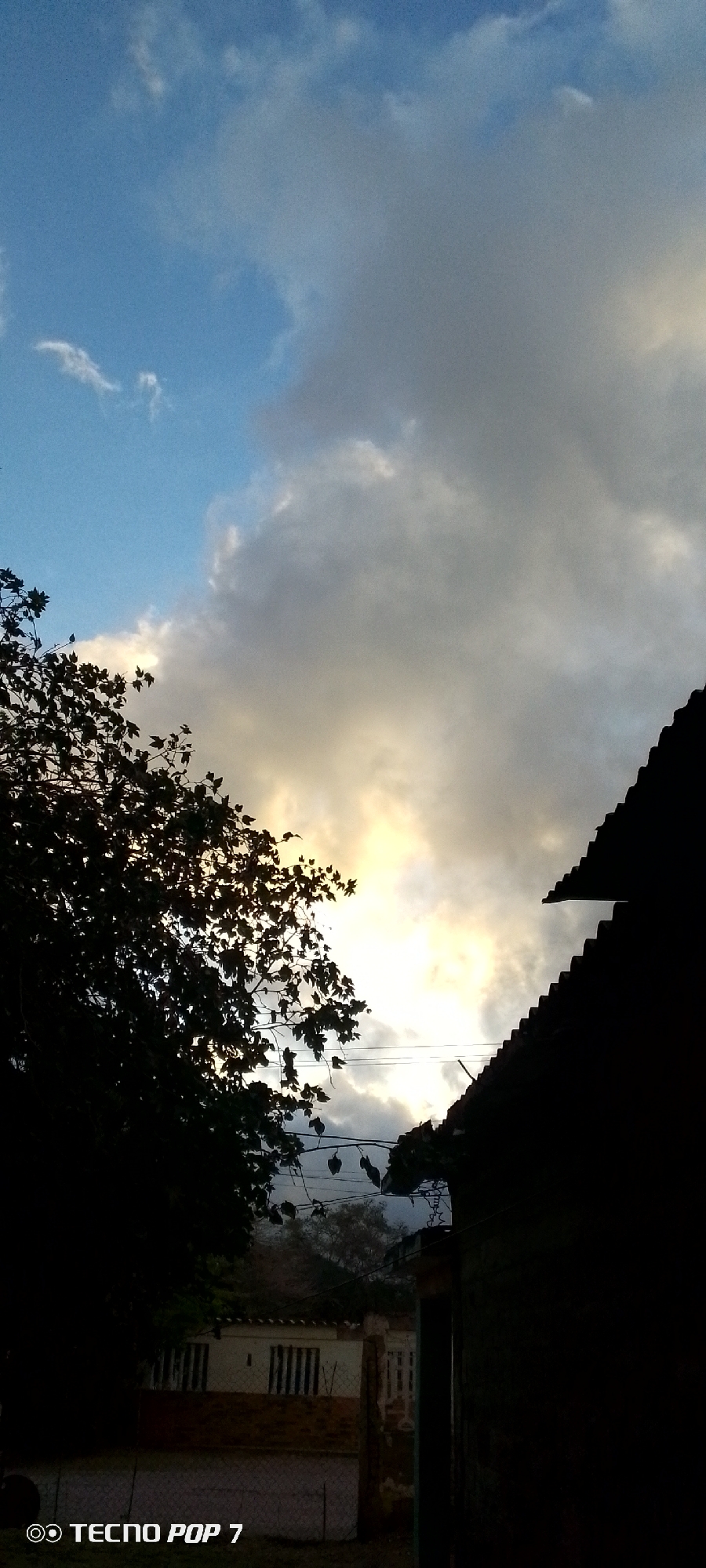 The image depicts an outdoor scene, likely in the city of Altagracia, Venezuela, at dusk or dawn. The sky is a prominent feature, with a mix of bright blue and dramatic, textured clouds, some of which are illuminated with a warm, golden light, suggesting the sun is low on the horizon. In the foreground, on the left, a large tree with dark, silhouetted leaves partially obscures the view. To the right, the dark silhouette of a roofline from a building cuts across the frame. Below the sky and between the tree and the building, a section of a modest dwelling is visible, characterized by white walls and barred windows. A wire fence runs across the lower portion of the image. The bottom left corner of the image contains a watermark reading "TECNO POP 7". No people are visible in the scene. The overall impression is a quiet, rural or suburban environment during a transitional period of the day.