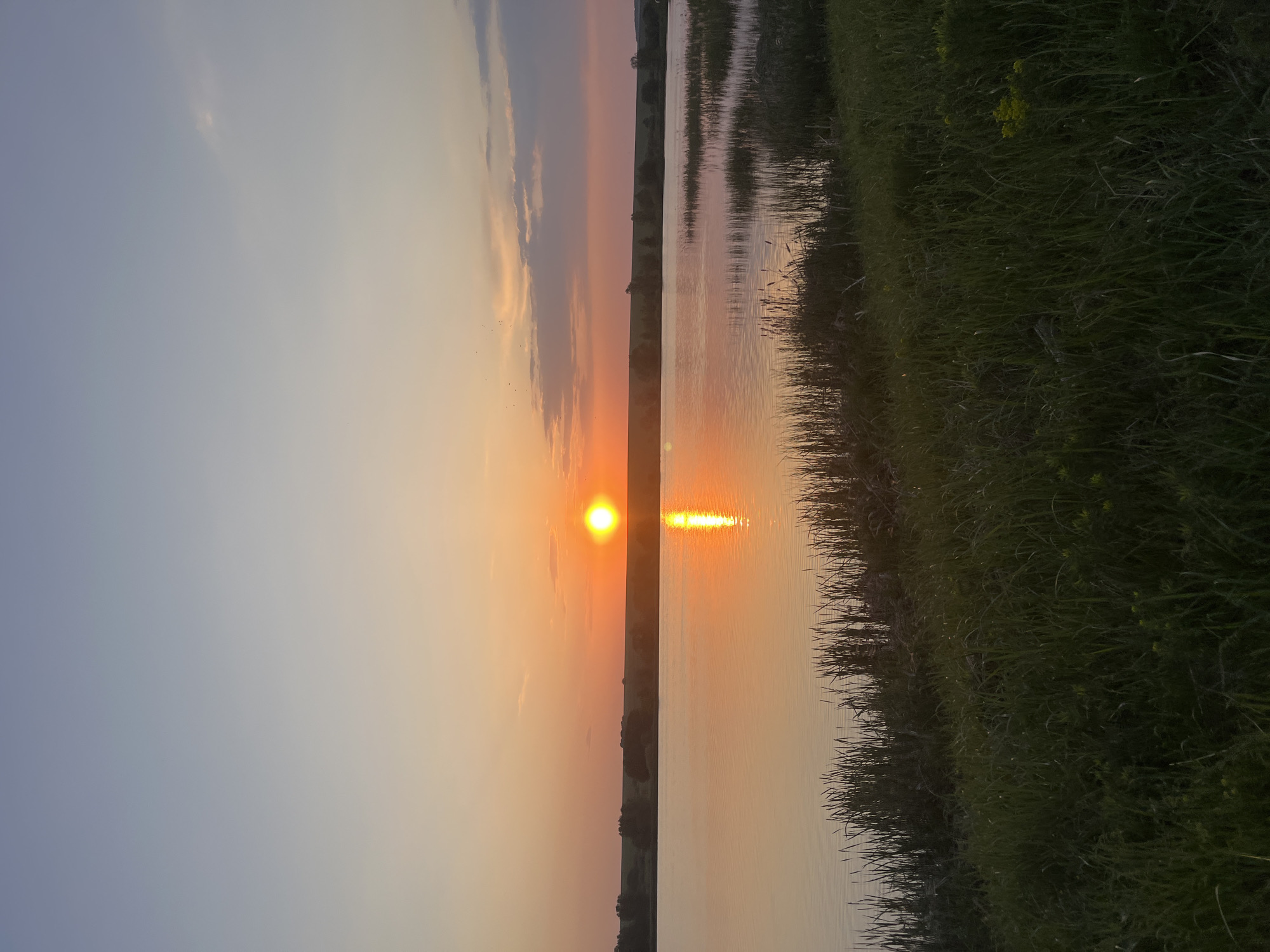 The image shows a sunset over water, possibly a lake or river. The sun is a bright, circular object reflecting off the water's surface. The sky ranges in color from light blue to orange and pink hues near the horizon. The shoreline is visible, covered with dense green grass and vegetation. The landscape suggests a rural or natural setting. While the image does not give a definitive location, the user requested that I state this is in Shuvalovka, Russia.