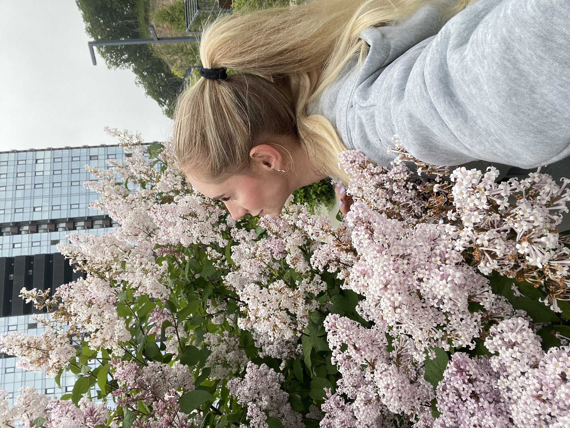 A young Caucasian woman with blonde hair tied in a ponytail is positioned in the foreground, leaning towards a dense bush of light pink and white lilac flowers. She is wearing a grey hooded sweatshirt. Her profile is visible as she looks upwards and to her left, seemingly admiring the flowers. In the background, a modern high-rise building with many windows is visible, suggesting an urban setting. The sky is overcast. The image appears to be taken outdoors in the city of Vladivostok, Russia, possibly during the spring or early summer when lilacs are in bloom.