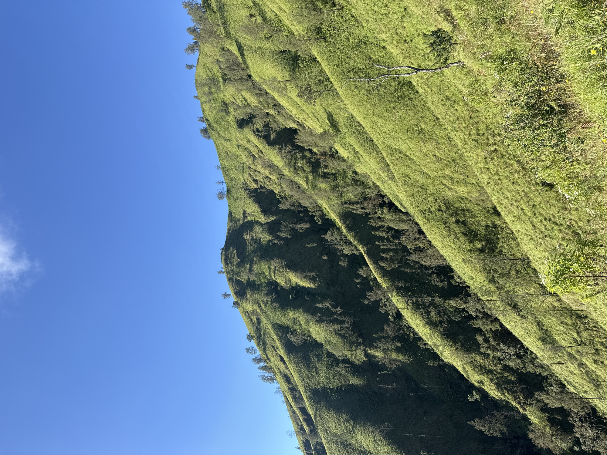 A daytime, medium-shot photograph shows a hillside and a blue sky in Kintamani, Indonesia. The green hillside has textured ridges or terraces running up the side, with some trees and dense foliage. The upper portion of the hillside is lighter in color, and the lower portion is darker. The sky is clear and blue except for a bit of white cloud in the upper left of the frame.