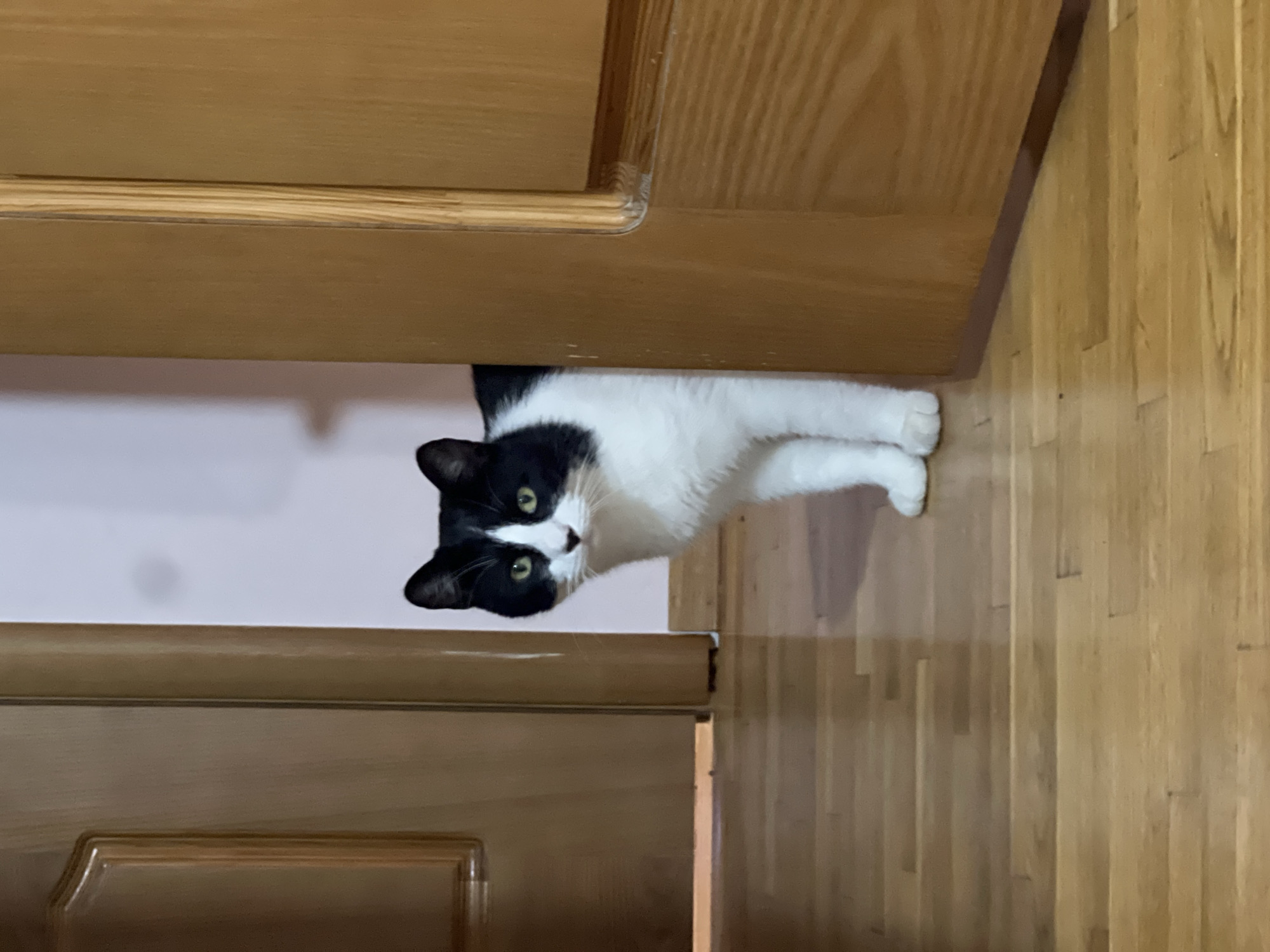 A black and white cat with yellow eyes peeks around a wooden doorframe in what appears to be an indoor hallway. The cat is standing on a wooden floor. The left side of the image shows a closed wooden door, and the right side shows the edge of an open wooden door. The background is a light pink wall.