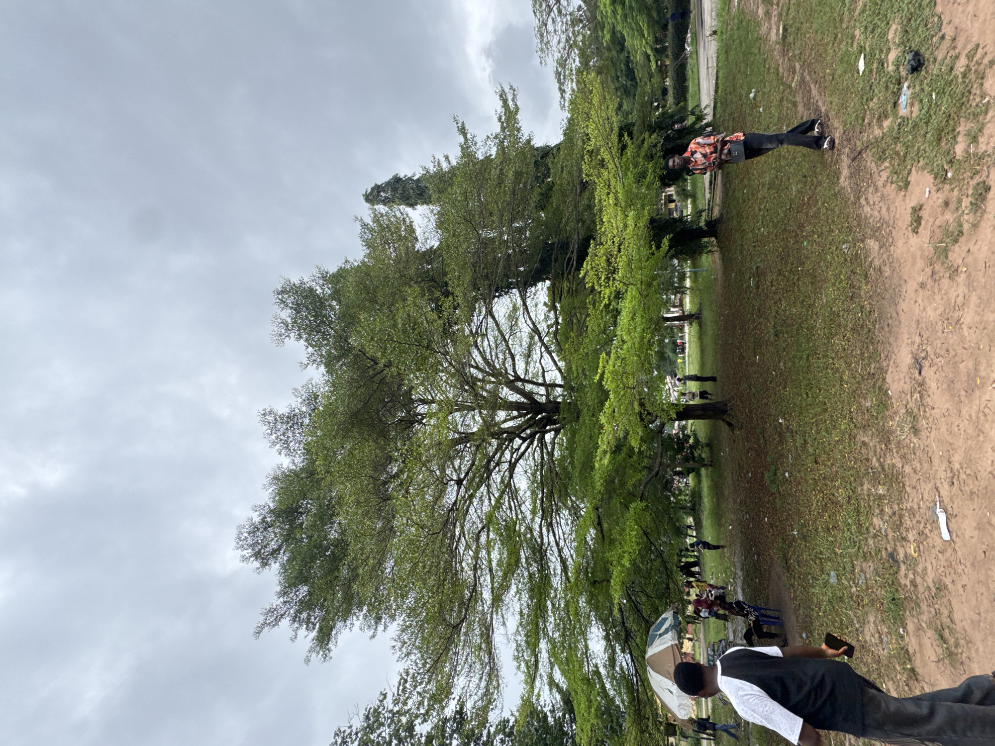 The image depicts an outdoor scene in Ihiagwa, Nigeria, under an overcast sky. A large, mature tree with a sprawling canopy of bright green leaves dominates the center of the frame. The ground beneath the tree is covered in grass and scattered brown leaves, with patches of exposed reddish-brown soil.
In the foreground, a young Black man walks away from the camera, his back partially turned. He is wearing a white and black t-shirt and dark pants, and is holding a black smartphone in his right hand. To his left, a group of people are gathered under a large, colorful umbrella, some sitting on chairs and others standing. Further into the background, more individuals are visible, some walking and others standing around.
To the right of the central tree, another young Black man stands facing the camera. He is wearing an orange, black, and white patterned shirt and dark pants. He has a small black bag slung across his chest. Behind him, more trees and foliage are visible, including a tall, slender tree with dark green leaves. The overall atmosphere suggests a public gathering or a casual outdoor event in a park-like setting.