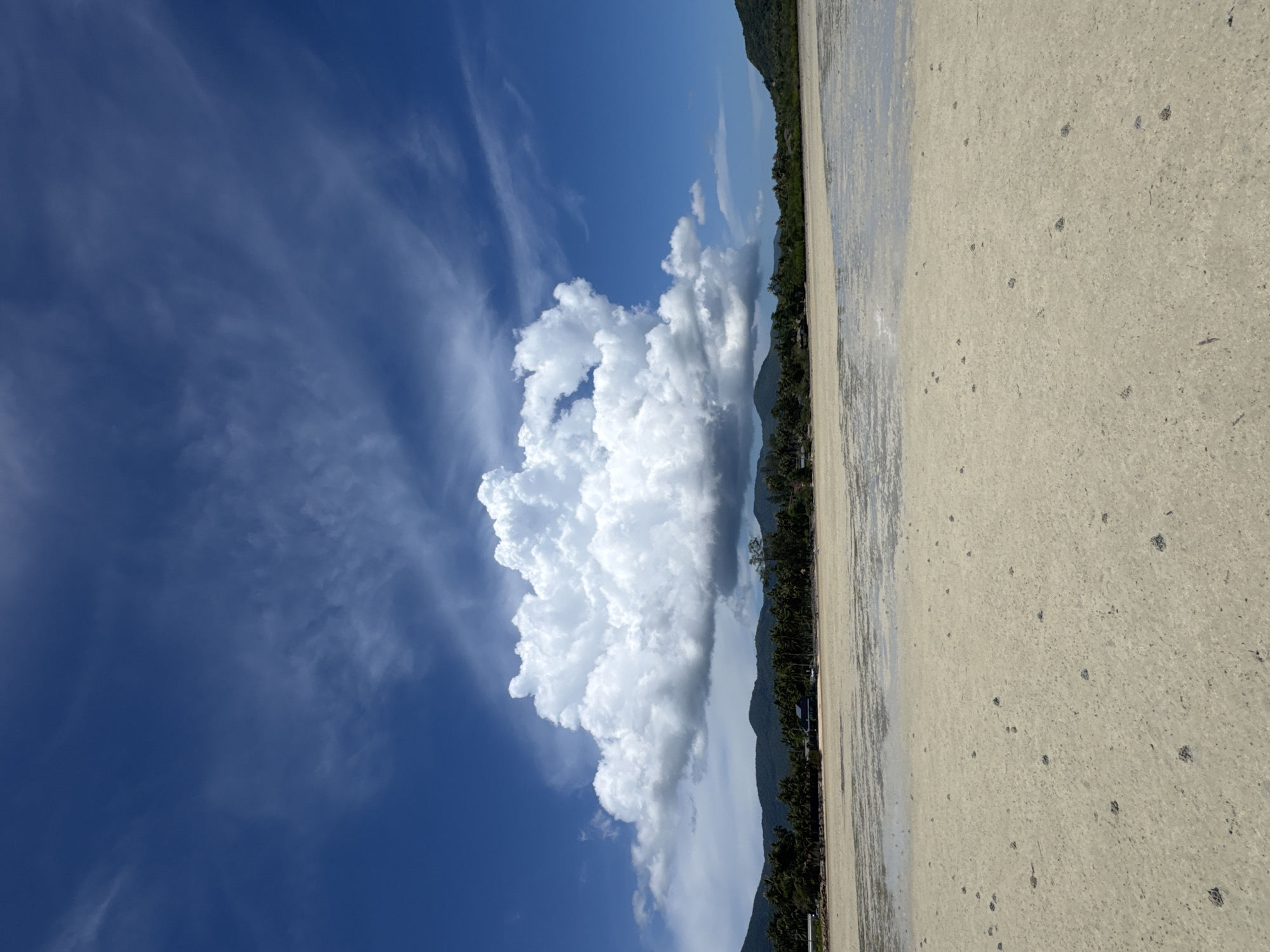 A wide-angle, low-angle shot captures a serene beach scene at low tide on Koh Phangan, Thailand. The foreground is dominated by a sandy, wet beach littered with small, dark crab mounds, indicative of recent activity. In the mid-ground, a shallow expanse of water reflects the sky, transitioning into a line of dense green vegetation featuring numerous palm trees. Beyond the vegetation, rolling, dark green hills form the backdrop, suggesting the island's interior. The sky above is a vibrant, clear blue, marked by a large, dramatic cumulus cloud formation and wisps of cirrus clouds. The overall impression is one of natural beauty and tranquility under a bright, sunny sky.