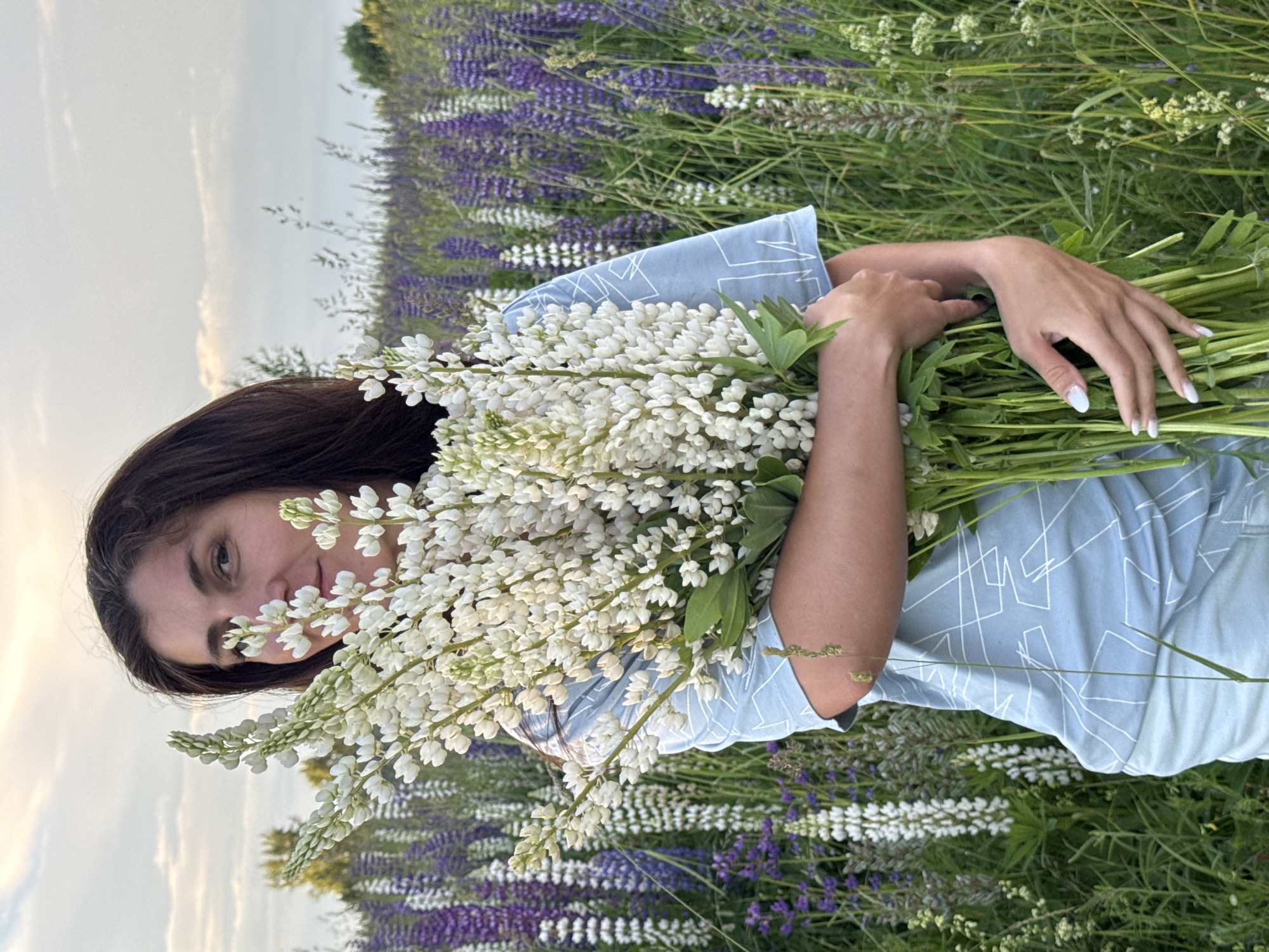 A woman with dark hair and fair skin stands in a field of lupine flowers, holding a large bouquet of white lupines. She is wearing a light blue t-shirt with a white geometric pattern and light blue shorts. The field is filled with tall stalks of purple and white lupines, and the sky above is overcast with soft clouds. The woman's face is partially obscured by the bouquet. She is looking towards the camera with a slight smile. The overall impression is one of a serene and natural setting. The image appears to be taken in Vassyata, Russia, a location known for its natural beauty and flower fields.