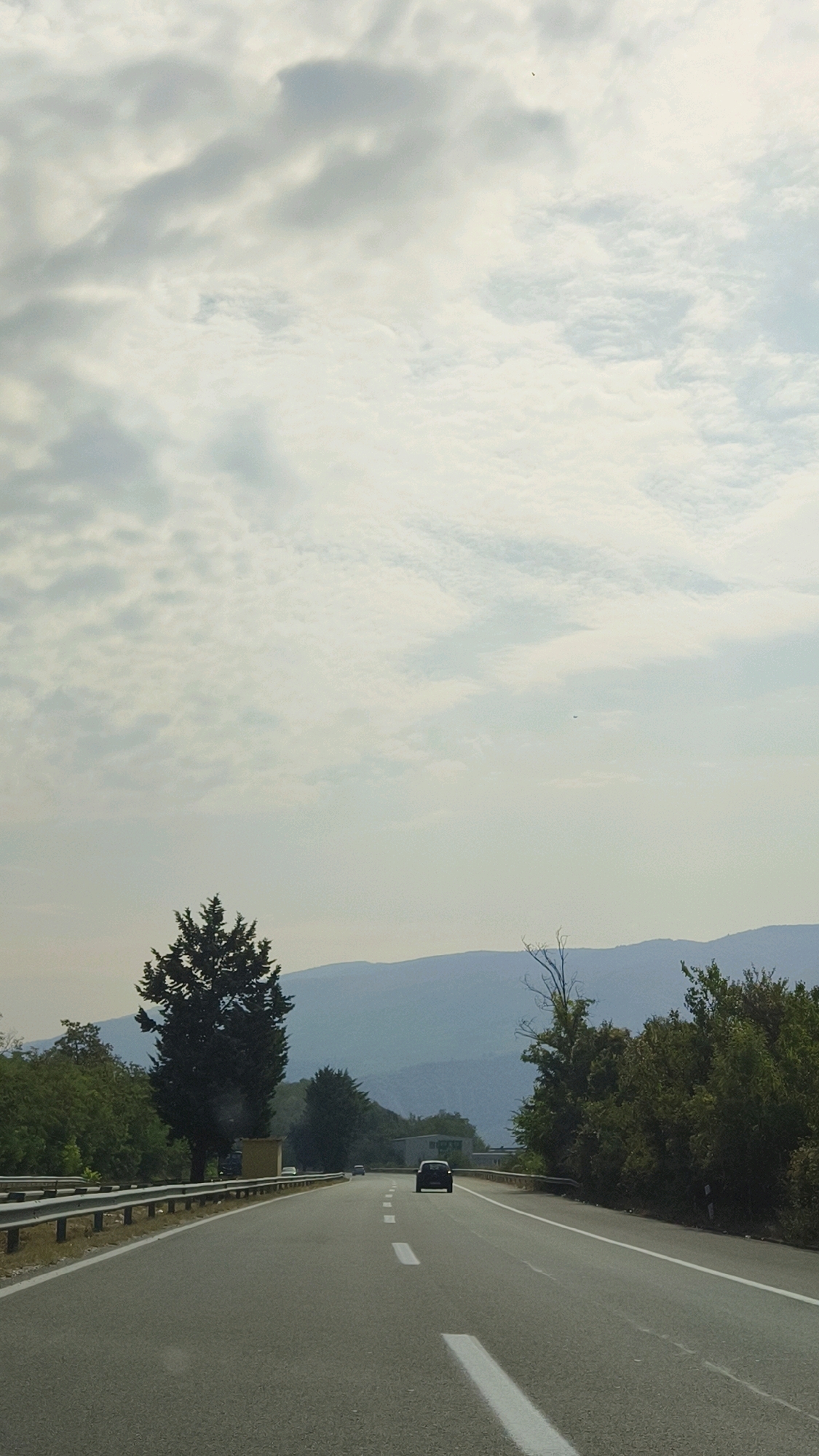 The image captures a view from a car driving on a highway. The highway is paved with asphalt and has white lane markings. On the left side of the road, there is a metal guardrail, and beyond that, dense green trees and vegetation. A tall, dark green coniferous tree stands prominently on the left side of the road, with a small yellow structure behind it. In the distance, faint mountain ranges are visible under a cloudy sky. A single black car is driving ahead on the same highway, and a few other vehicles are further down the road. The scene appears to be in a rural or suburban area, with no specific urban landmarks identifiable to confirm a precise location in Glumovo, North Macedonia.