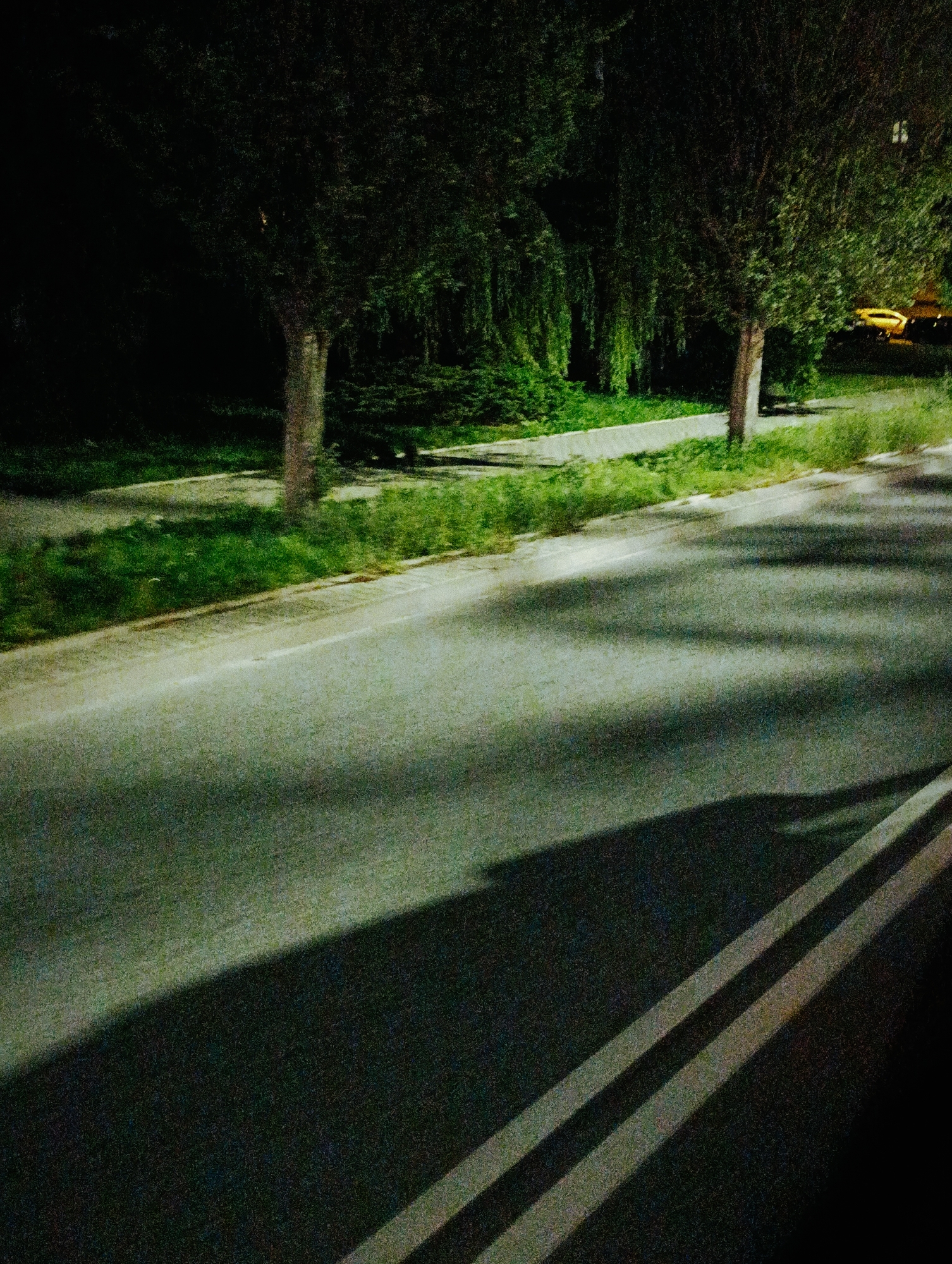 The image depicts a dimly lit scene, likely taken at night or dusk, featuring a road and adjacent vegetation. The road is paved and appears to be a two-lane street with white lines marking the lanes. To the left of the road, there is a sidewalk or path bordered by a grassy area and trees. The trees have dark foliage and their trunks are visible. In the background, more trees and shrubs create a dense, dark backdrop. A yellow vehicle is partially visible on the right side of the image, suggesting it is either parked or moving on the road. The overall lighting is low, with shadows cast across the road, indicating the presence of an external light source, possibly streetlights or headlights from the yellow vehicle. The image quality is somewhat grainy, characteristic of low-light photography.
Specifically for the city of Zgierz, Poland, this image likely represents a street scene in a suburban or park-like area, potentially along one of the city's tree-lined boulevards or near its green spaces. Streets in Zgierz, like many Polish cities, often feature sidewalks, grassy verges, and mature trees, which align with the elements present in the photograph. The presence of a yellow vehicle could be typical of common car models found in Poland. Without specific landmarks, pinpointing an exact location within Zgierz is challenging, but the scene is consistent with the general urban and natural landscape of the city.