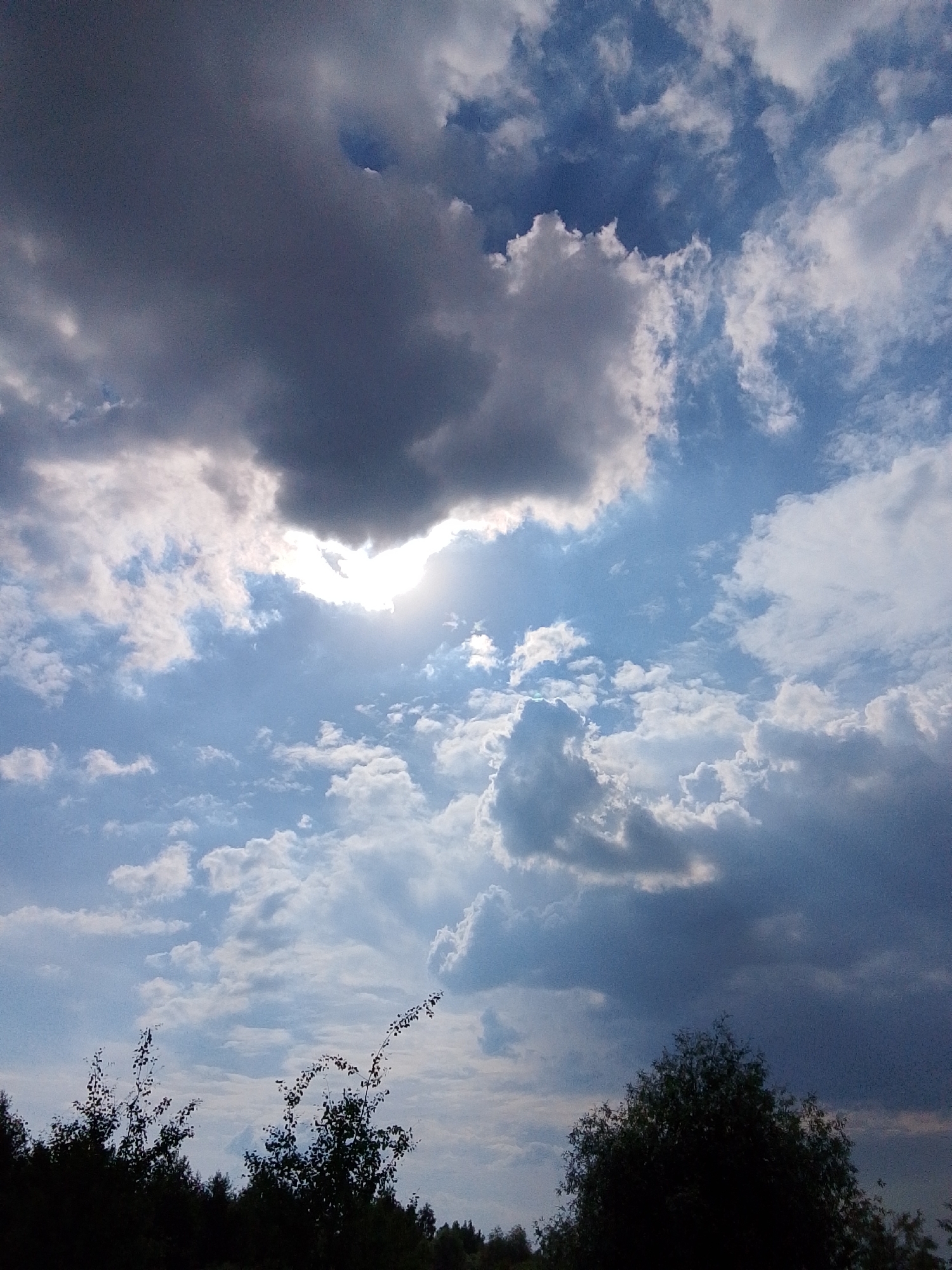 The image captures a dramatic sky filled with a mix of dark, heavy clouds and patches of bright blue. The sun is partially obscured by a large, dark cloud in the upper center of the frame, creating a strong contrast with the lighter, scattered clouds and blue sky visible elsewhere. The lighting suggests it is daytime, possibly late afternoon or early evening when clouds can appear particularly imposing.
In the foreground, silhouetted against the sky, is a dark treeline. The trees are densely packed, with some branches reaching upwards, appearing as dark, intricate patterns against the lighter sky. On the right side of the image, a large, dark tree dominates the lower portion, its silhouette equally stark. The overall impression is one of a natural landscape, possibly rural or semi-rural, given the presence of extensive trees. The weather appears to be changeable, with the dark clouds hinting at a potential storm or recent rainfall, while the patches of blue suggest intermittent clearing. No people or specific objects are visible, focusing the scene entirely on the natural elements of the sky and trees. The emotion evoked is one of awe at the power and beauty of nature, with a touch of drama due to the interplay of light and shadow in the clouds. There is no visible text in the image.