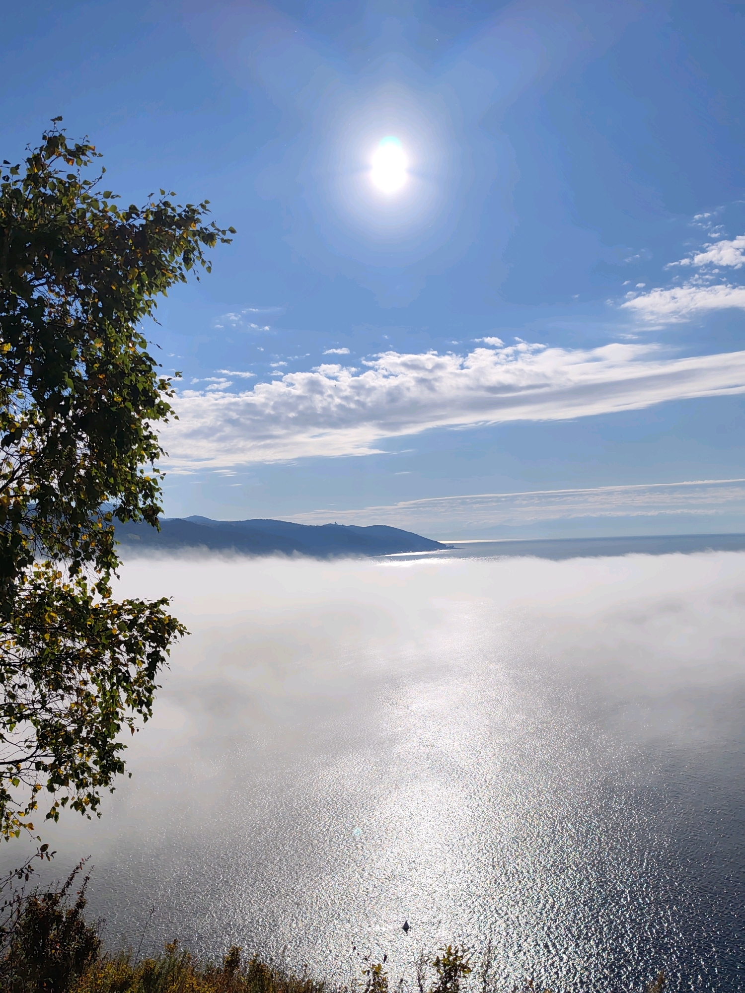 This is a vertical, eye-level shot of a calm body of water, likely Lake Baikal in Russia, partially obscured by a dense layer of fog. The sun is bright and high in the sky, casting a strong glare on the water's surface. In the foreground, the leaves of a tree are visible on the left, with some autumnal colors starting to show. In the distance, a mountainous landscape is silhouetted against the hazy horizon. The sky is a clear blue with scattered white clouds. There are no people or animals readily apparent in the scene.