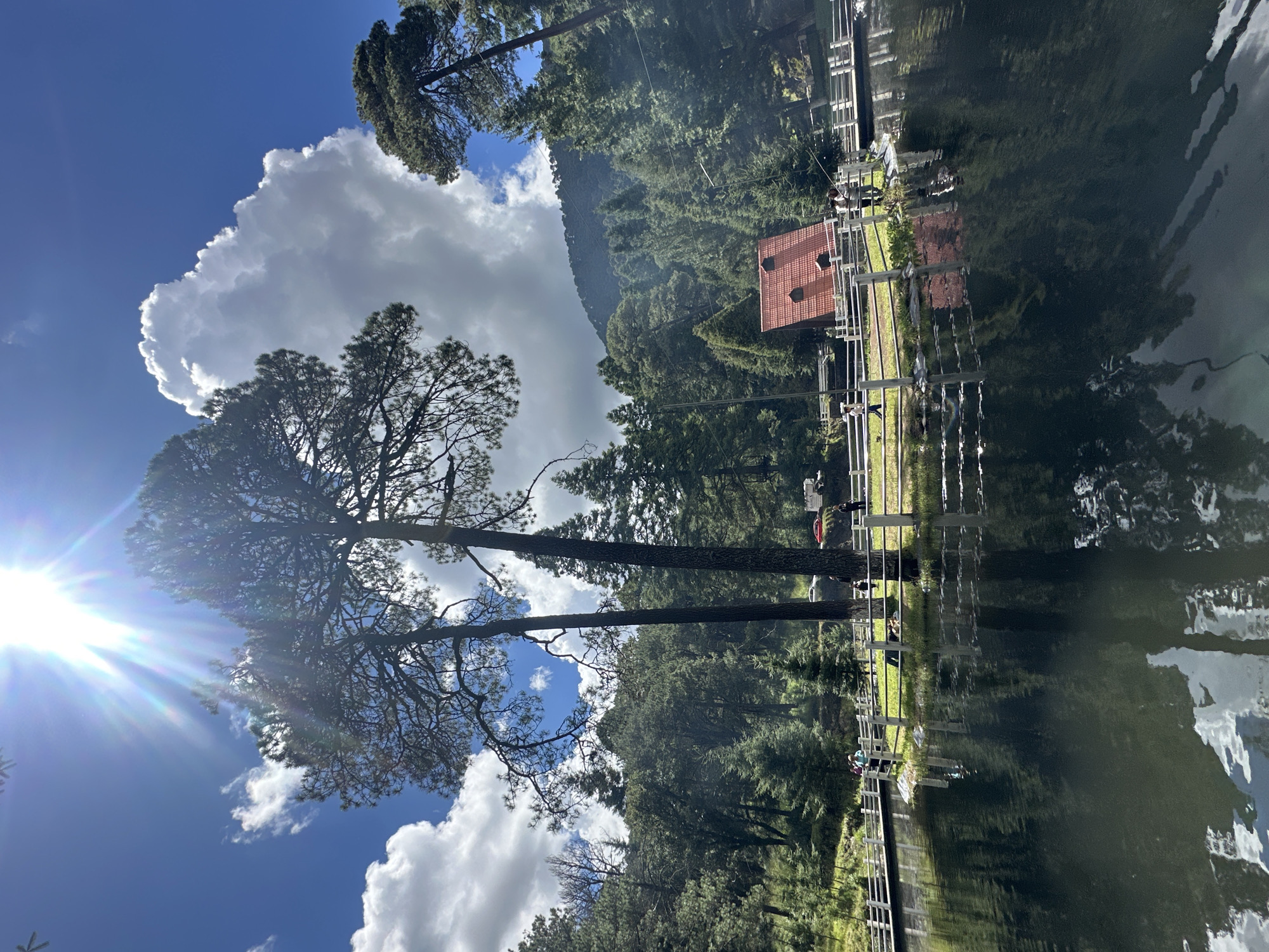 The image captures a serene lakeside scene in San Mateo Ozolco, Mexico, under a bright, sunny sky with dramatic clouds. Two tall pine trees dominate the foreground, their branches reaching towards the sun, casting long shadows. A body of dark water, reflecting the trees and sky, occupies the lower half of the frame.
Along the edge of the lake, a white fence delineates a grassy area where several people are present. Some are walking, while others appear to be fishing. In the background, a small building with a reddish-orange roof is visible, nestled amongst a dense forest of pine trees. The forest extends up a gently sloping hillside, which is partially obscured by more trees. The overall impression is one of a peaceful, natural setting, likely a recreational area or park.