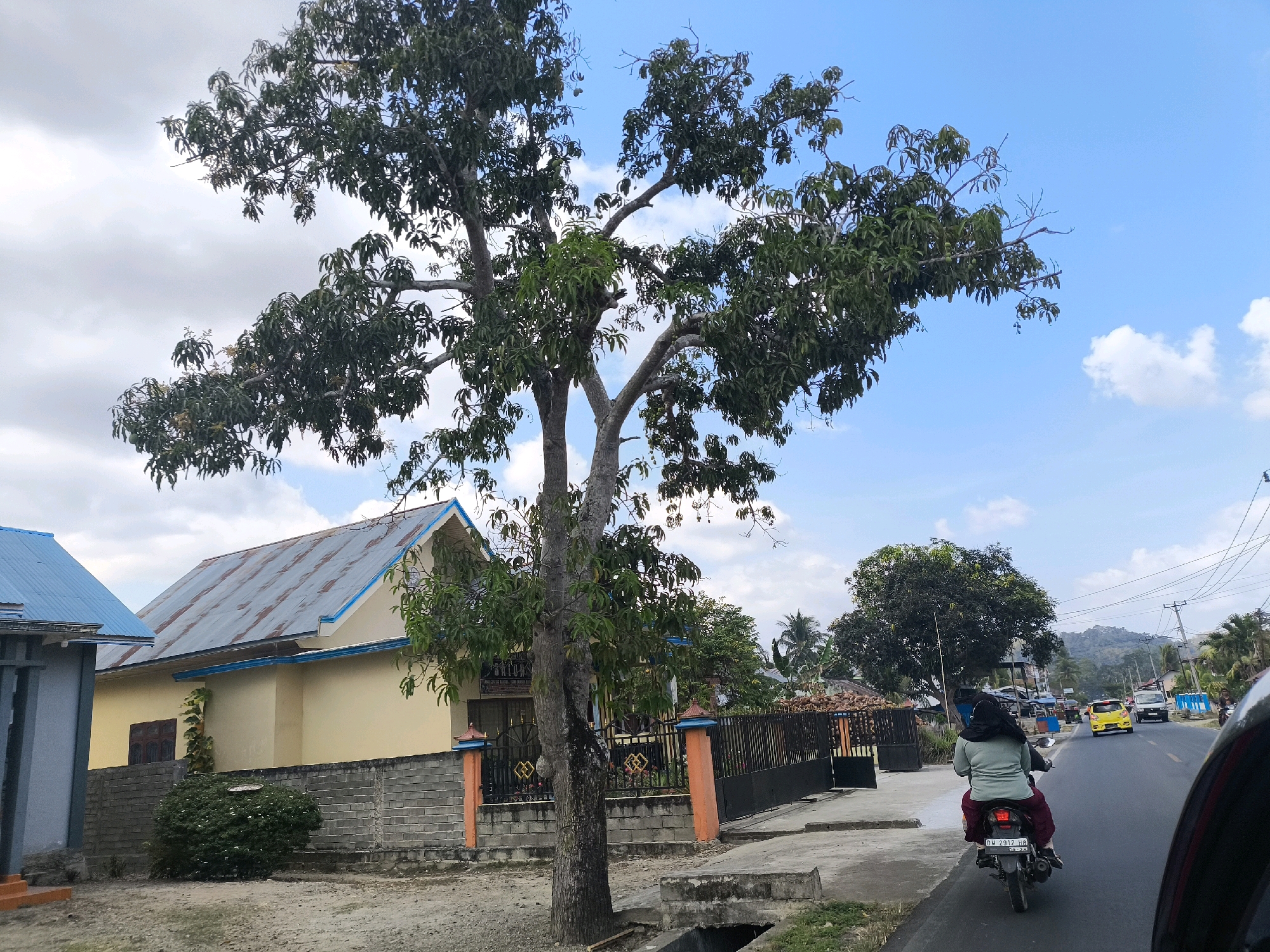 The image depicts a street scene in Talumopatu, Indonesia, on a clear day with scattered clouds. In the foreground, a large tree with dense green foliage dominates the left side of the frame. To the left of the tree, a light yellow house with a corrugated metal roof and blue trim is visible, bordered by a grey brick wall. Adjacent to this house, a building with a light blue metal roof is partially seen.
The street runs from the lower right to the upper left of the image. A person wearing a dark headscarf, a light green long-sleeved shirt, and dark red pants is riding a motorcycle in the right lane, traveling away from the viewer. The motorcycle has a license plate that reads "DM 2912 MB". Further down the road, a bright yellow car is driving in the same direction. In the background, a line of trees and hills can be seen under a bright blue sky. The overall atmosphere suggests a typical day in a tropical or subtropical urban or semi-urban environment.