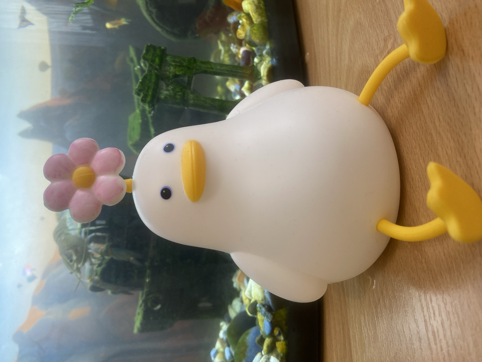 A white, duck-shaped, plastic light is positioned on a wood-grain surface next to a fish tank. The duck is facing towards the left with a pink flower in its beak. The fish tank is filled with water, rocks, and aquatic plants. Fish are visible inside the tank. The location is unknown.