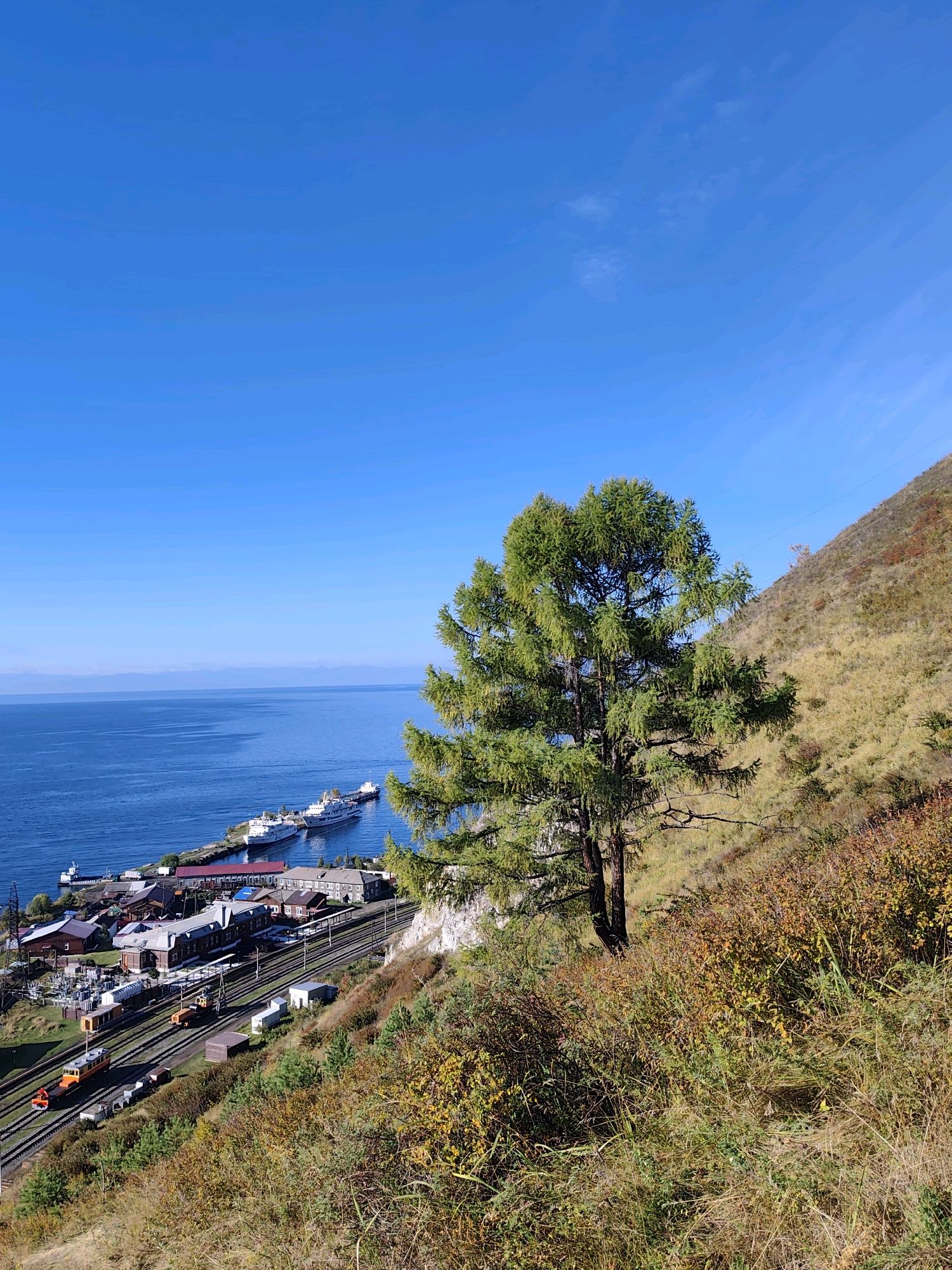 This is a high-angle, full shot of a scenic landscape in Baikalsk, Russia, bathed in bright, clear sunlight under a vibrant blue sky. The foreground is dominated by a hillside covered in dense, dry vegetation, with patches of yellow, orange, and green indicating the autumn season. A large, mature evergreen tree stands prominently on the left side of the frame, its branches reaching out towards the viewer.
Below the hillside, the town of Baikalsk is visible, nestled along the shore of a vast, deep blue body of water, likely Lake Baikal. The town features a port with several large white ships docked. Adjacent to the port are railway tracks with two orange trains visible. The buildings in the town appear to be of various sizes and colors, with some showing red roofs. The water extends to the horizon, where distant mountains are faintly visible, shrouded in a light haze. The overall impression is one of natural beauty combined with human infrastructure, showcasing a tranquil scene in a remote, mountainous region.