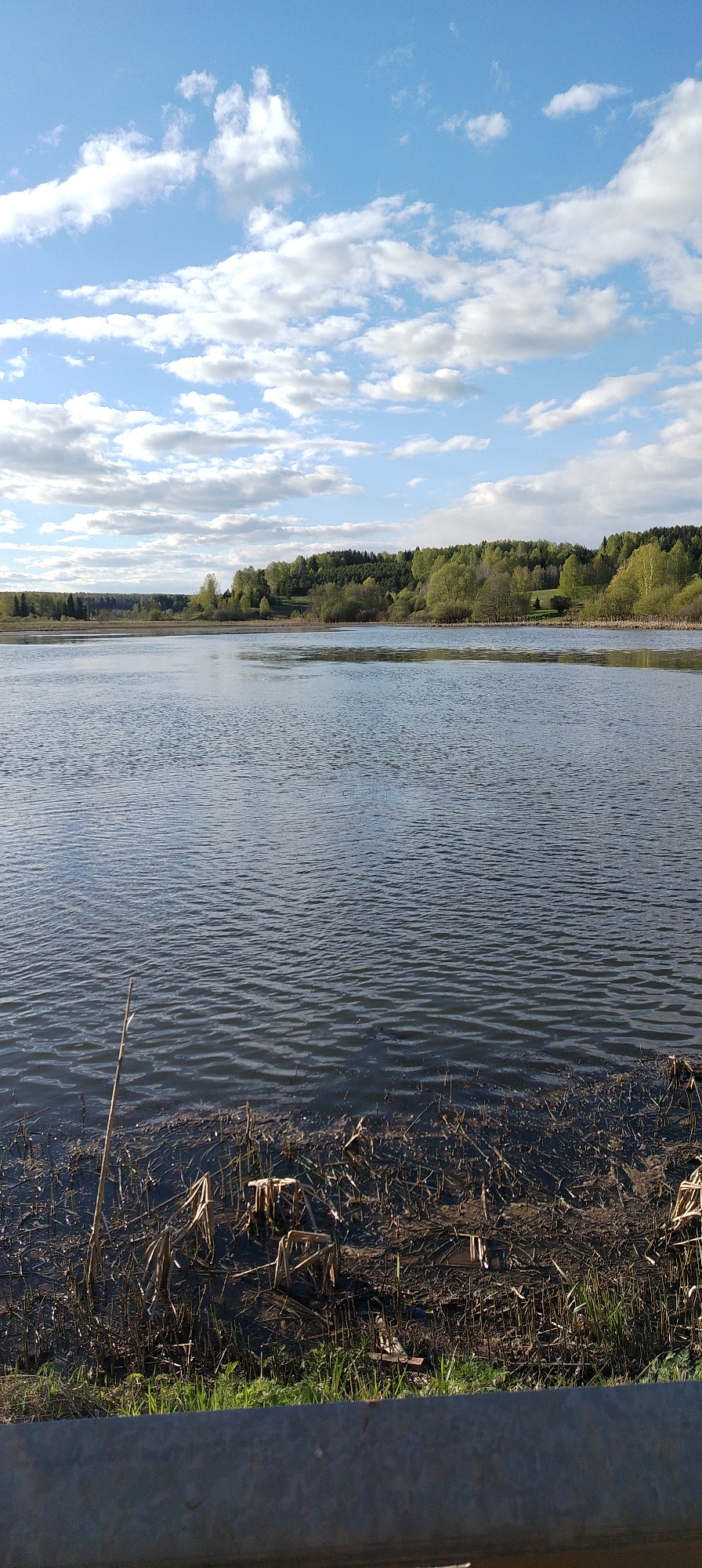 The image depicts a body of water, possibly a lake or large pond, under a blue sky with scattered white clouds. The water surface is rippled, suggesting a gentle breeze. In the distance, a tree line is visible, indicating a forested area. The foreground features vegetation along the water's edge, with some decaying plant matter visible. The location is identified as Зипуново, Russia. There are no people visible in the image.