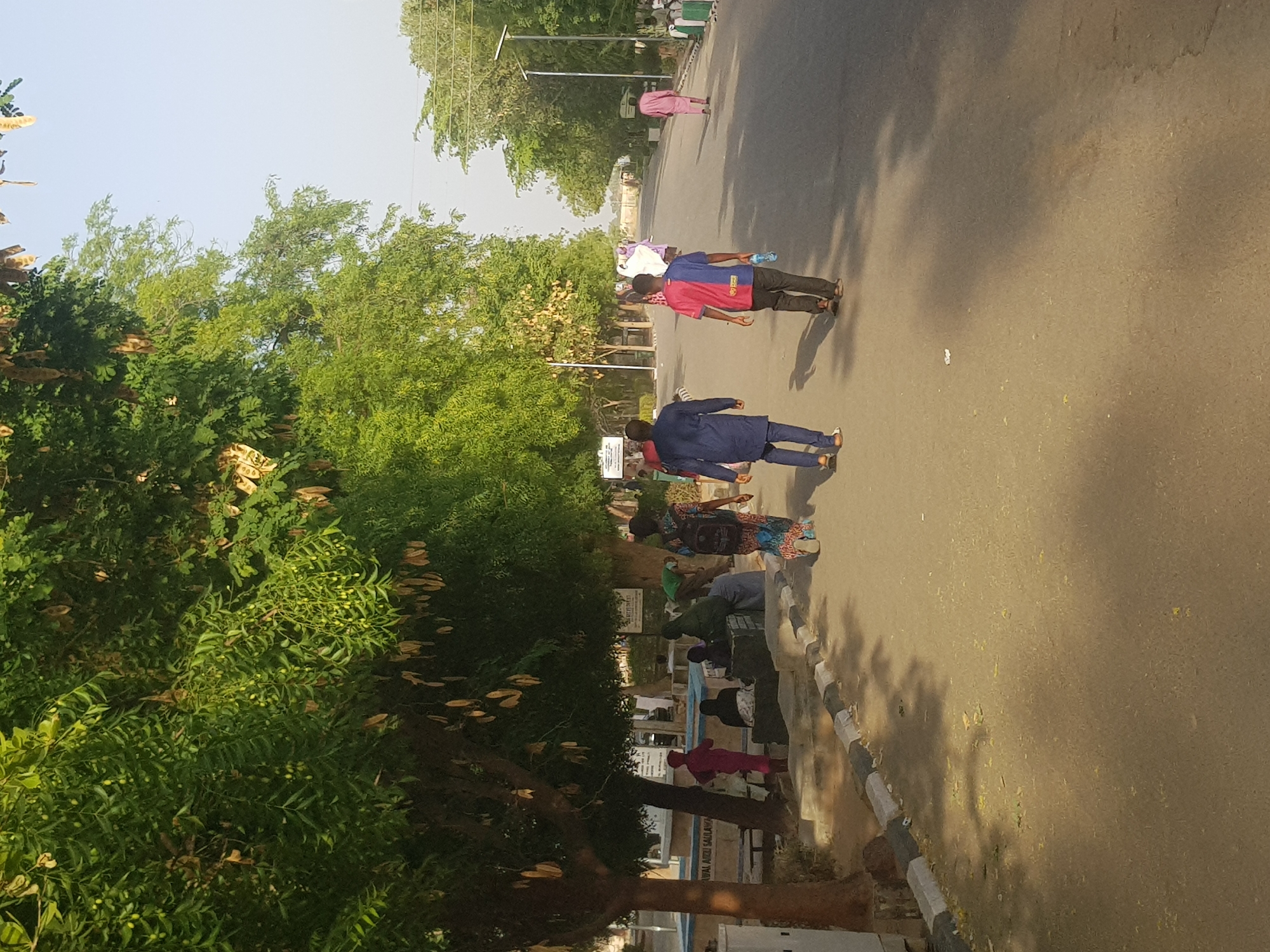 A street scene in Dabawa, Nigeria, shows several people walking on the road. To the right, along the curb, are more people sitting or standing. Lush green trees line the left side of the road, casting shadows on the pavement. A pink-clad figure walks ahead on the road. The scene is bathed in the warm light of day.