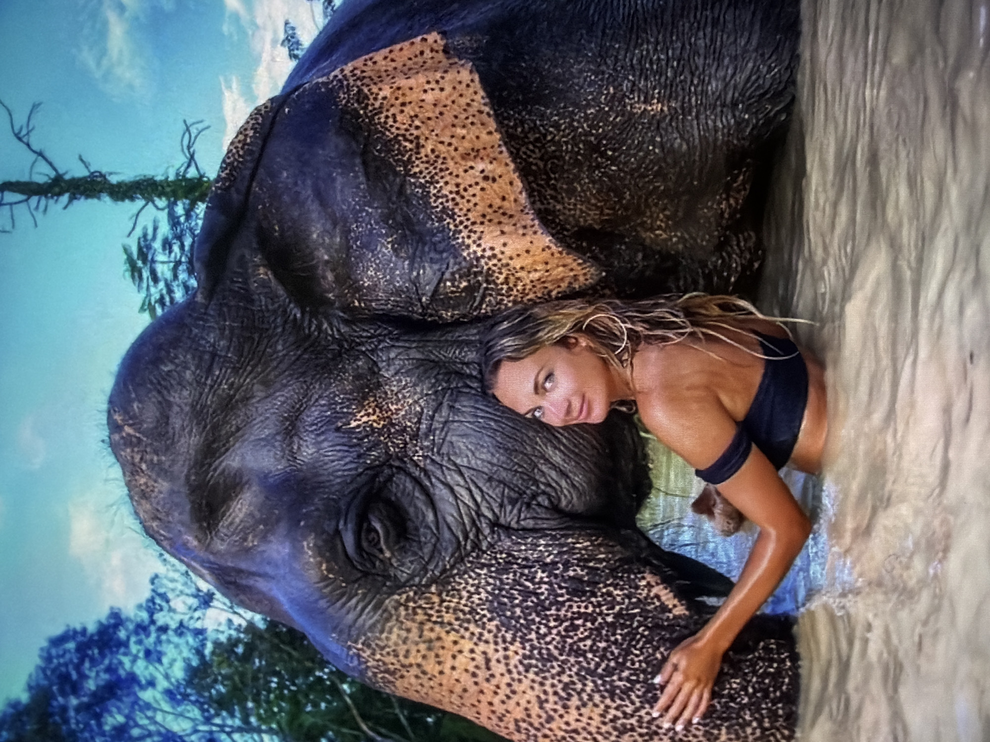 An overhead, slightly angled shot, rotated counter-clockwise, captures a tranquil interaction between a woman and an elephant in water. The elephant, a large dark grey animal with distinctive mottled, lighter brown patches on its skin, particularly around its face and trunk, is the dominant subject, positioned centrally. Its eye is visible, appearing calm.
A light-skinned woman with long blonde hair is nestled against the elephant's head, leaning into its side. She is wearing a dark bikini top and a matching armband on her upper left arm. Her right arm extends forward, gently resting on the elephant's trunk/face. She looks directly towards the viewer with a serene expression. Her skin appears wet and glistening.
They are both partially submerged in murky, light brown water, which shows ripples and reflections. In the background, a bright blue sky with scattered white clouds is visible, along with lush green trees and foliage, suggesting a natural, outdoor environment, possibly a river, lake, or large pool in a tropical setting. The scene evokes a sense of peace and connection between the woman and the majestic animal. There is no visible text.