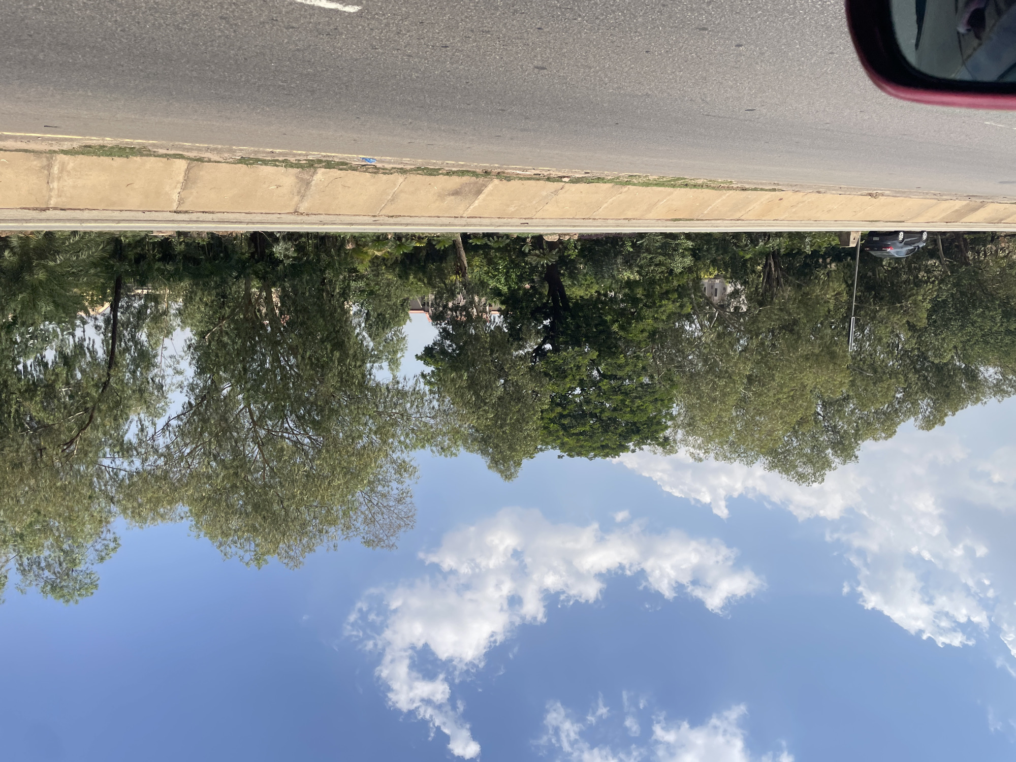 This image captures a roadside scene in Wupa, Nigeria, viewed from inside a vehicle, indicated by the red rearview mirror visible in the top right. The perspective is looking from the road towards a treeline and the sky.
The lower portion of the image shows a paved asphalt road, grey in color, with a faint white line partially visible on its left edge. Adjacent to the road is a light brown concrete curb or sidewalk, constructed from several distinct slabs. Some dirt and sparse green growth are visible in the gaps and edges of these concrete sections.
Beyond the curb, a dense barrier of green foliage and trees dominates the middle section of the image. Various types of trees with different shades of green leaves are present, forming a thick natural wall. Through the trees, in the distance, a light-colored building is partially visible, along with a dark-colored car and a vertical pole, suggesting some development beyond the immediate treeline.
The upper portion of the image is filled with a bright blue sky, adorned with scattered, fluffy white cumulus clouds. The clear sky and strong lighting suggest it is daytime, likely midday or early afternoon, with sunny and pleasant weather conditions. No discernible human activity or visible text is present in the frame.