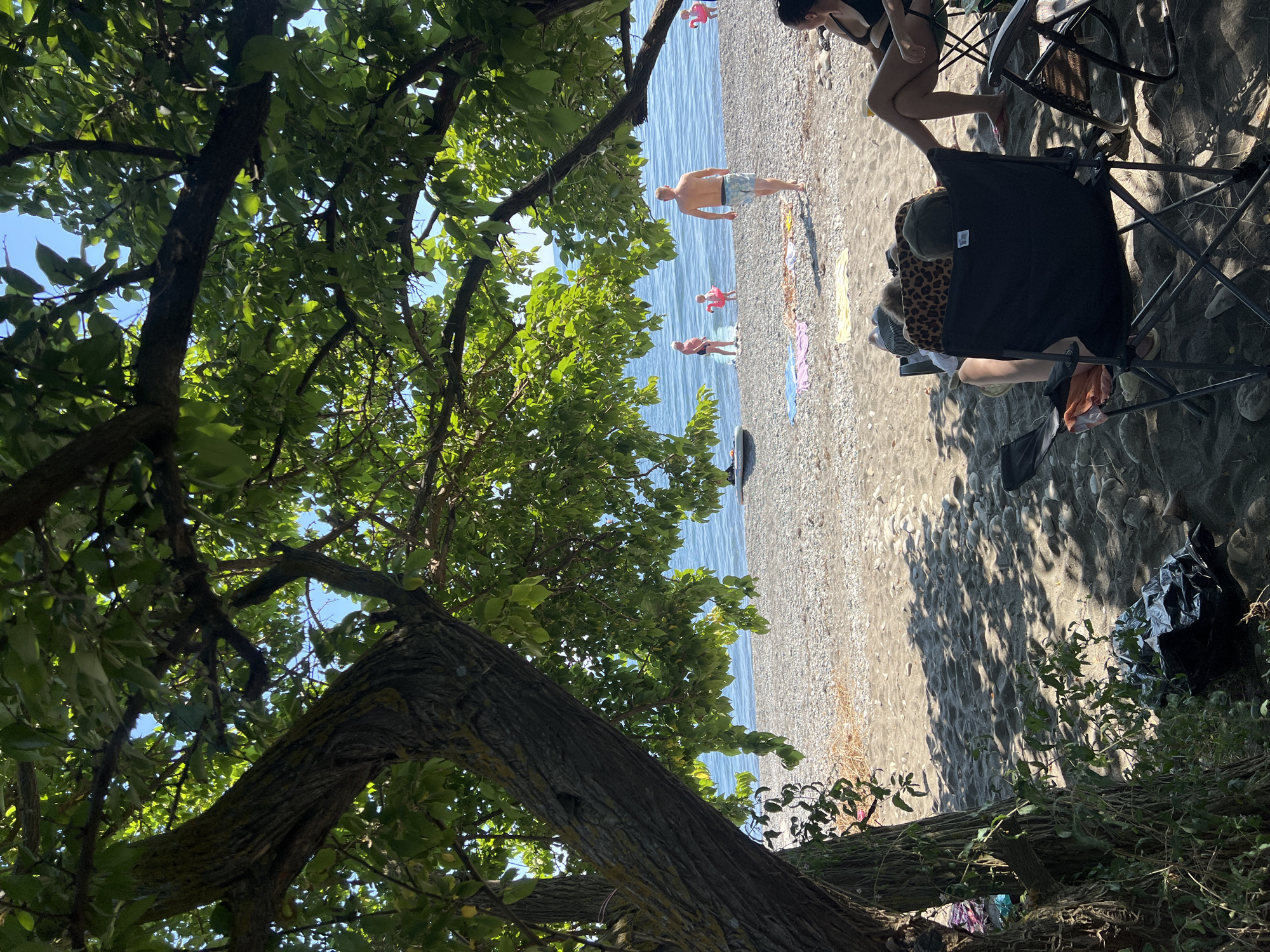 In the foreground, the gnarled trunk of a large tree with mossy bark dominates the left side of the frame, casting dappled shadows across the sandy and pebbly beach. Under the shade of its leafy branches, two camping chairs are set up. In one, a person wearing a black swimsuit and a leopard print cover-up sits facing away from the camera, their legs crossed. Another chair, to the right, is occupied by a person with dark hair, wearing a black bikini, their legs also crossed. A black trash bag lies on the sand near the tree.
Beyond the immediate foreground, the pebble and sand beach stretches towards a calm, blue body of water. Several people are visible near the water's edge. A man in blue patterned swim trunks walks away from the camera towards the water. Further back, a man in a black swimsuit stands near the water, and a child with a pink inflatable ring is visible between them. Another child with a pink inflatable is further to the right. Several towels are spread on the beach. A black and white stand-up paddleboard is propped up on the beach near the water. The sky is clear and blue.