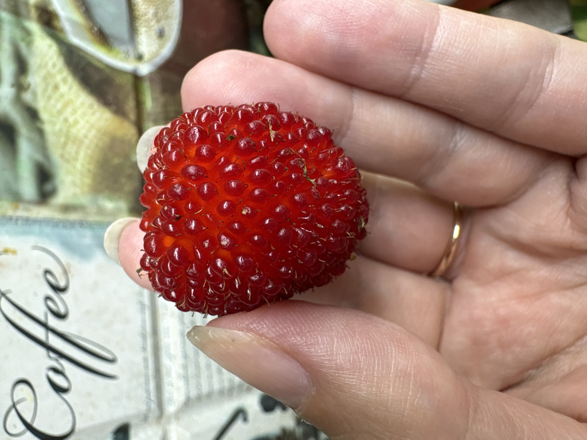 A close-up, eye-level shot shows a person's hand holding a single, bright red, textured berry. The berry is spherical and appears to be composed of numerous small drupelets, similar to a raspberry or a strawberry, with some green sepals visible at the top. The skin of the hand is visible, with lines and texture apparent, and a thin gold ring is worn on one finger. The background is a blurred pattern with the word "Coffee" written in elegant script on what appears to be a paper or fabric surface. There are no other people or objects clearly identifiable in the scene. The image does not provide any information about the location in the city of Ветлужский, Russia.
