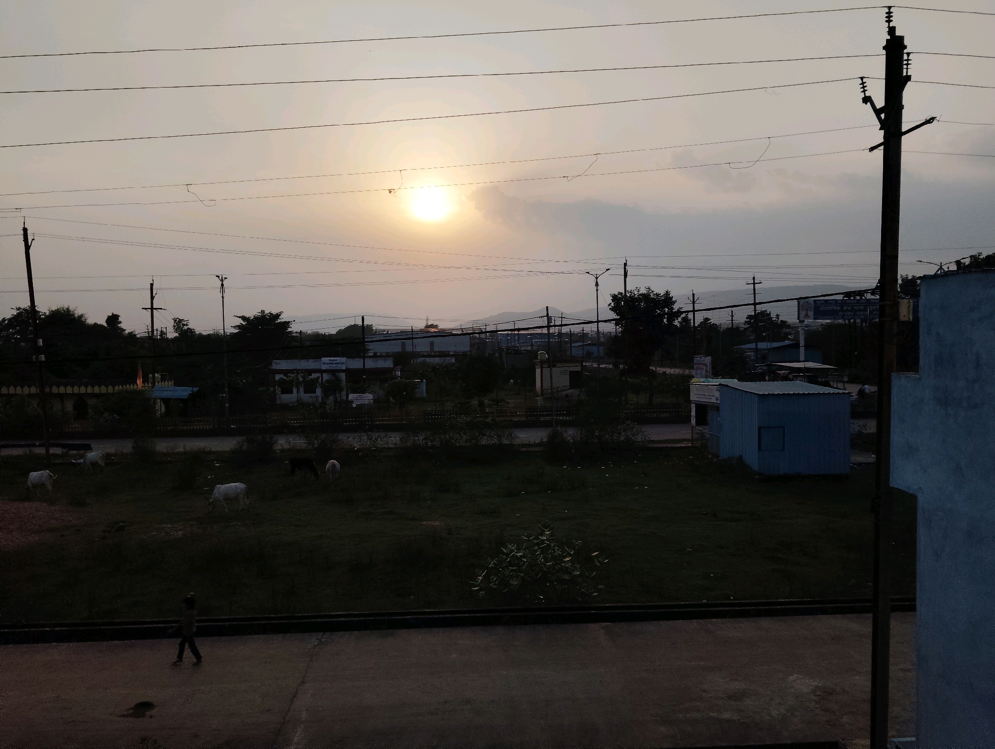 The image depicts an outdoor scene at dusk in Budhni, India. The sky is overcast with the sun, appearing as a bright disc, visible through a break in the clouds, casting a soft light over the landscape. Several utility poles with multiple wires stretch across the frame, indicating an urban or semi-urban setting. In the middle ground, there is a grassy field with several cows grazing. A small, light blue, shed-like structure with a single window is also present in this area. In the foreground, a person is walking away from the camera on an asphalt path. A dark, textured surface runs along the bottom of the image, separating the path from the grassy area. In the background, buildings and trees are visible, partially obscured by the low light conditions. The overall impression is one of a quiet evening on the outskirts of a populated area.