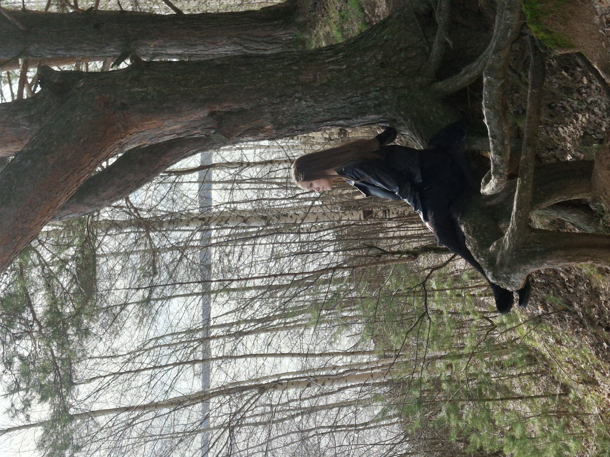 A medium shot presents a woman perched in the branches of a large tree. She has long, straight hair, and wears a dark-colored jacket and trousers. The tree has thick branches and gnarled roots. In the background is a dense forest of thin trees. The image was taken near the city of Chaikovsky, Russia.