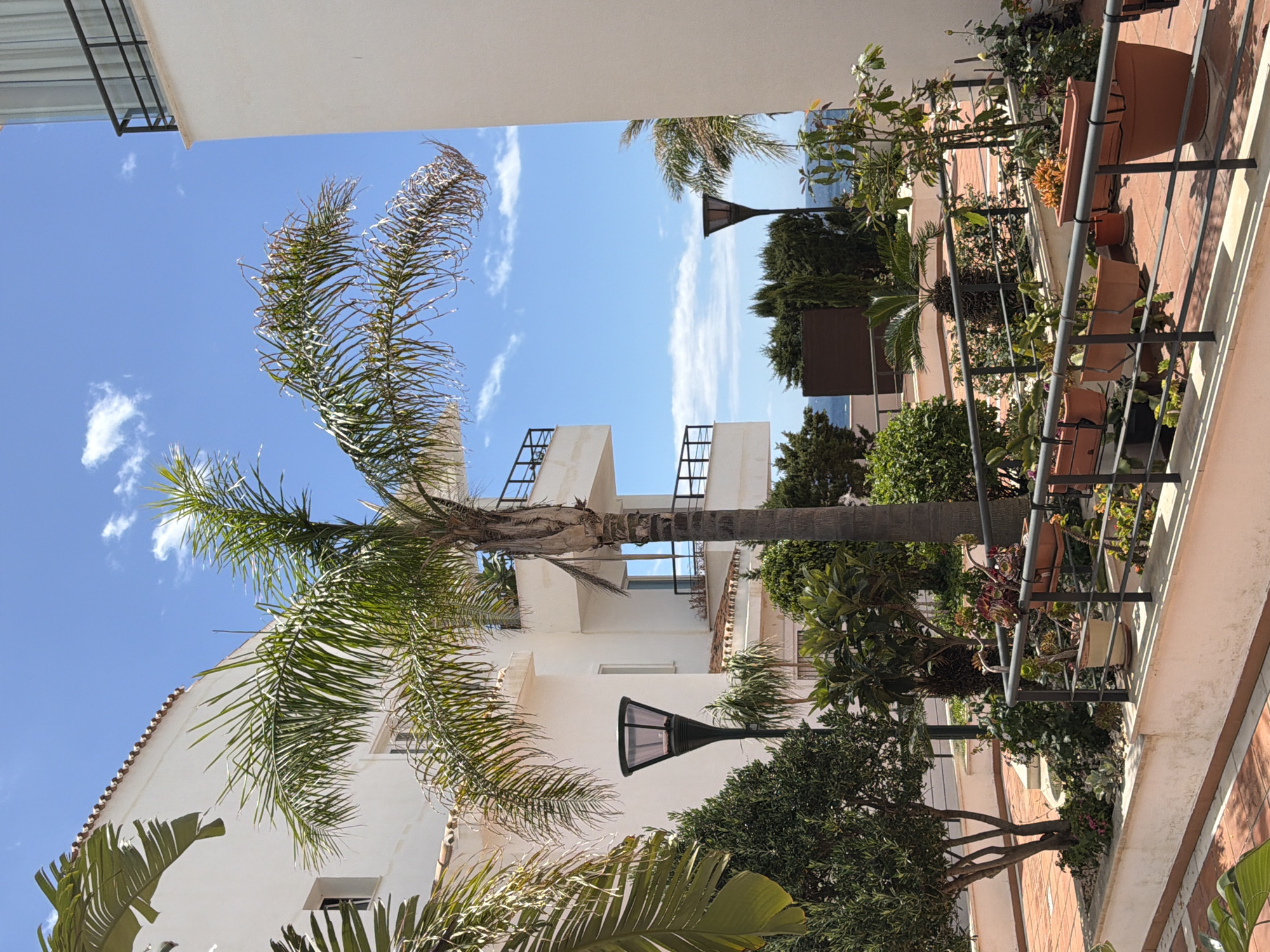 View from a balcony in Torrequebrada, Spain, showing palm trees, white buildings, plants in terracotta pots, a black metal railing, and a blue sky with clouds. A street lamp is visible in the foreground.