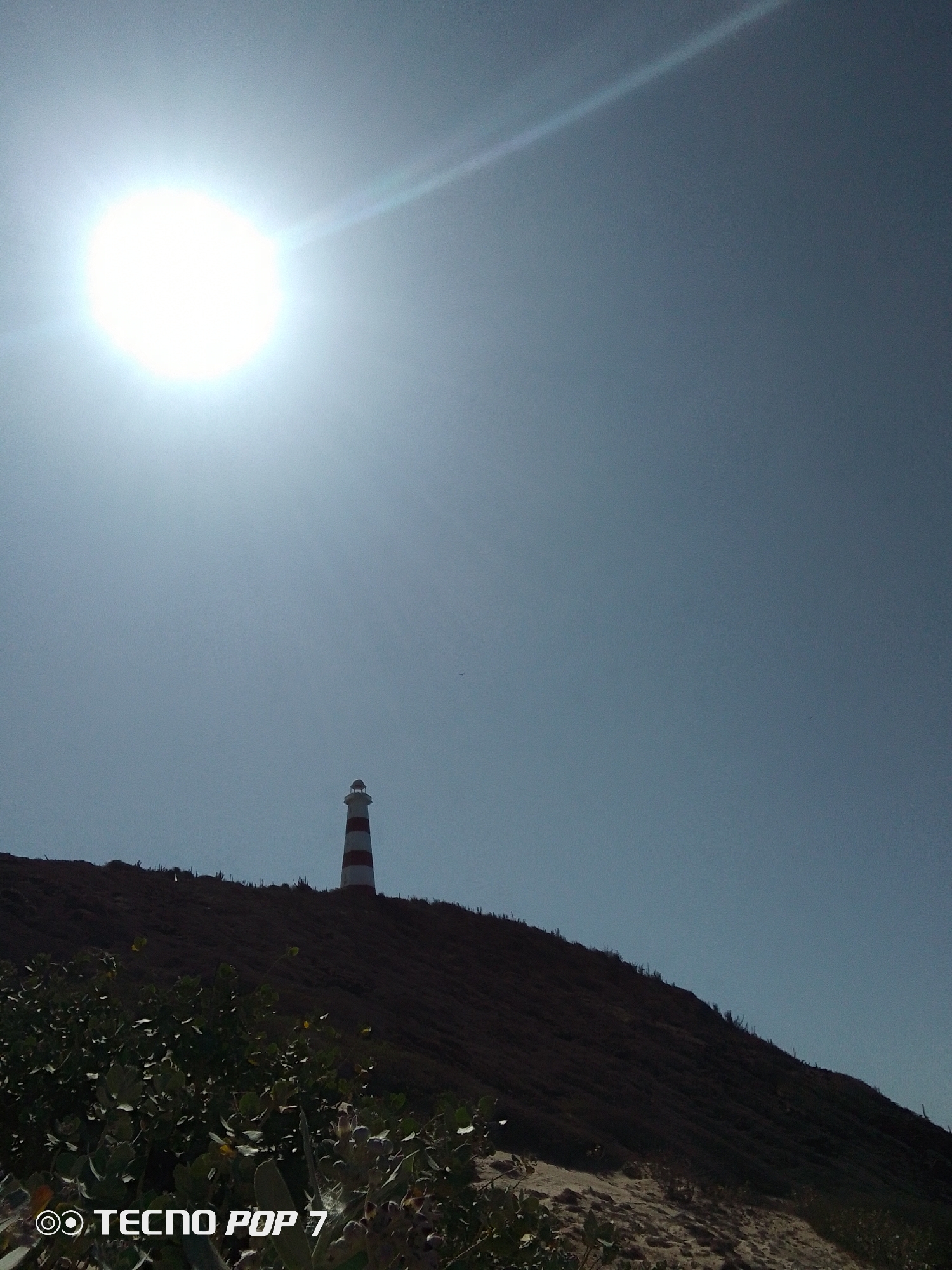 The image shows a bright sun in the sky, positioned above a lighthouse situated on a hilltop. The lighthouse is painted with alternating red and white stripes. The hilltop is covered in vegetation, with additional plants in the foreground. The location is Unknown, Unknown.