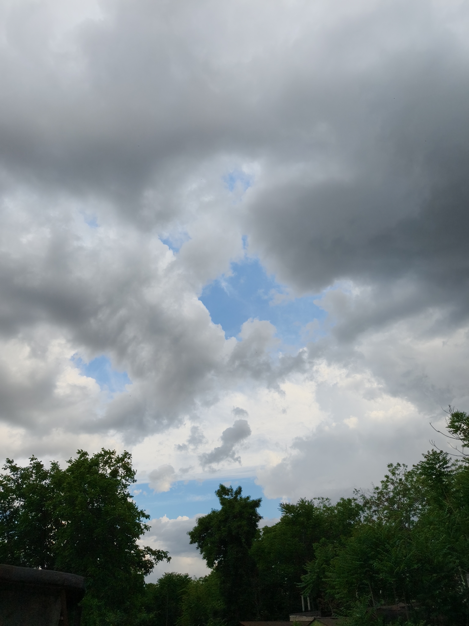 The image depicts a cloudy sky over a line of dense green trees. A few patches of blue sky are visible through breaks in the clouds. The foreground shows the tops of dark green trees, with some lighter green foliage mixed in. The overall impression is of an overcast day, possibly before or after rain. The image is a vertical shot, capturing the sky and the tree line. No people or specific urban landmarks are clearly identifiable, though the presence of trees suggests a natural or semi-natural setting within or near a city. Given the provided information, this scene could be located in the city of Kryvyi Rih, Ukraine.