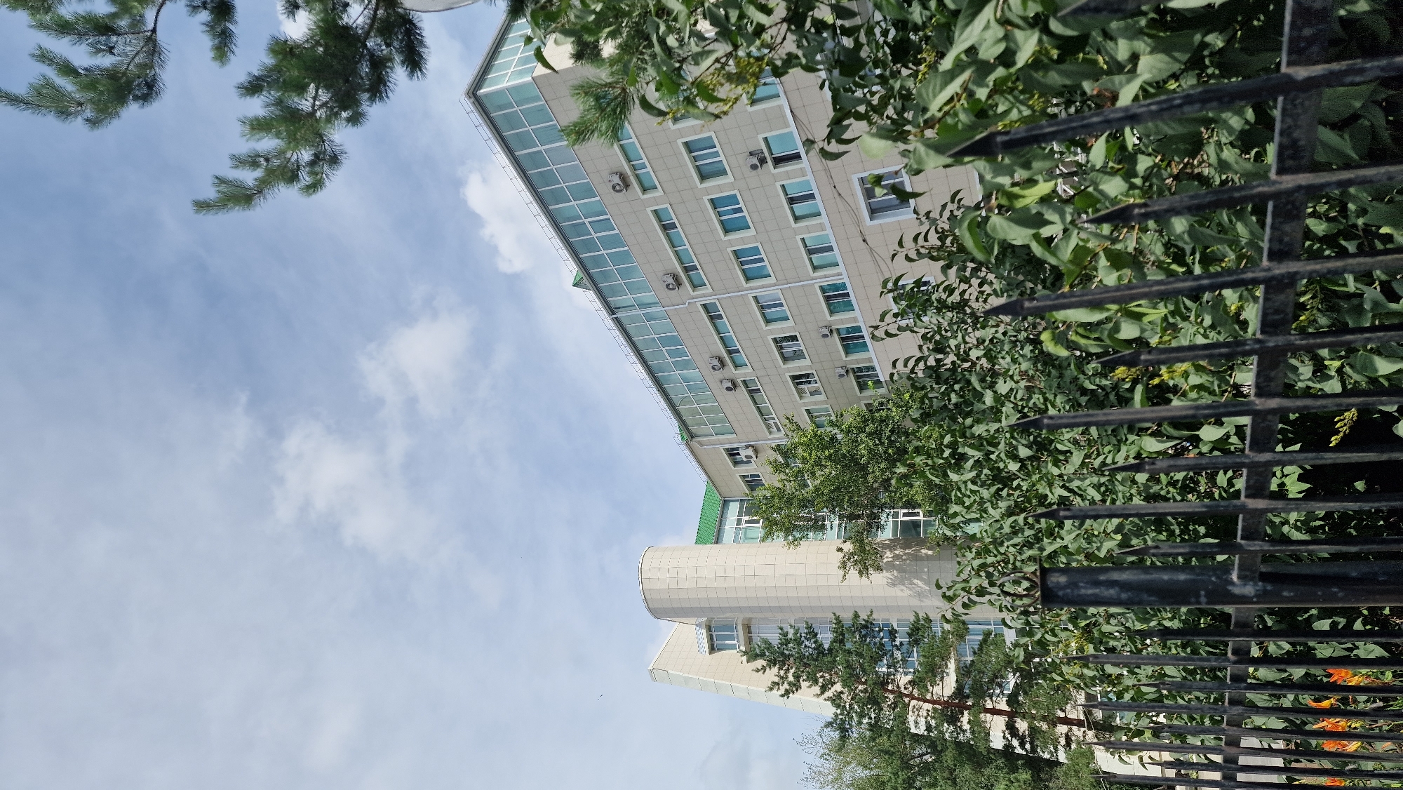 The image shows a modern, multi-story building with a light-colored facade and a green roof. The building has numerous windows, many of which are large and seem to be made of glass. Several air conditioning units are visible on the exterior walls. In the foreground, there is a black metal fence with pointed spikes. Behind the fence, lush green foliage and trees obscure the lower portion of the building. In the upper right corner, pine branches extend into the frame, against a backdrop of a partly cloudy sky.
This building appears to be the Kostanay State University (KGU) in Kostanay, Kazakhstan. The architectural style is consistent with public institutions and the surrounding greenery suggests an urban park or campus setting. The time of day appears to be daytime, with natural light illuminating the scene. No people are visible in the image.