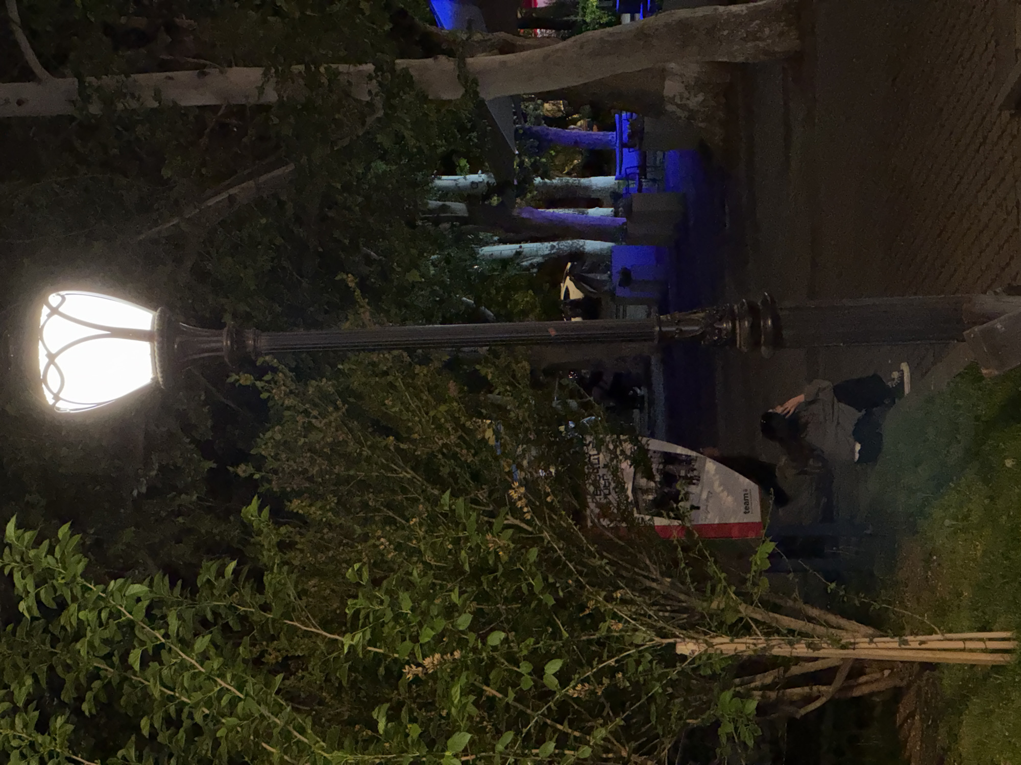 The image depicts an urban night scene, possibly in Yerevan, Armenia, featuring a lamppost illuminating foliage and a pedestrian area.
The lamppost, with its ornate design, casts a bright light amidst dense green shrubbery. A poster or sign is positioned close to the bushes, partially obscured by branches, bearing the word "team" in its visible portion.
A person, seemingly sitting or crouching, is visible near the edge of a grassy area, with their face turned away from the camera, and possibly using a phone.
In the background, there's evidence of stone steps or a tiered structure, possibly illuminated with blue lighting, under a tree canopy.
The ground surface transitions from grass to paved walkway.