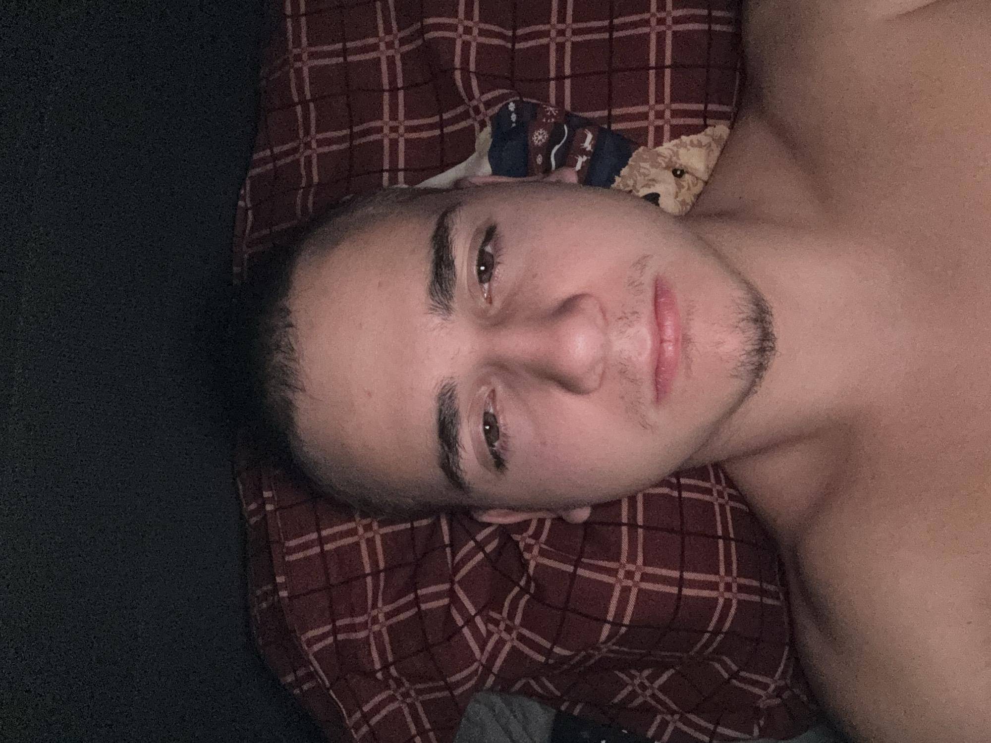 A shirtless man with short, dark hair, light skin, and a goatee is lying on a bed with a red and brown plaid blanket. A stuffed animal is partially visible near his head. The left side of the image shows a dark, possibly black, object. The location is not evident in this image.